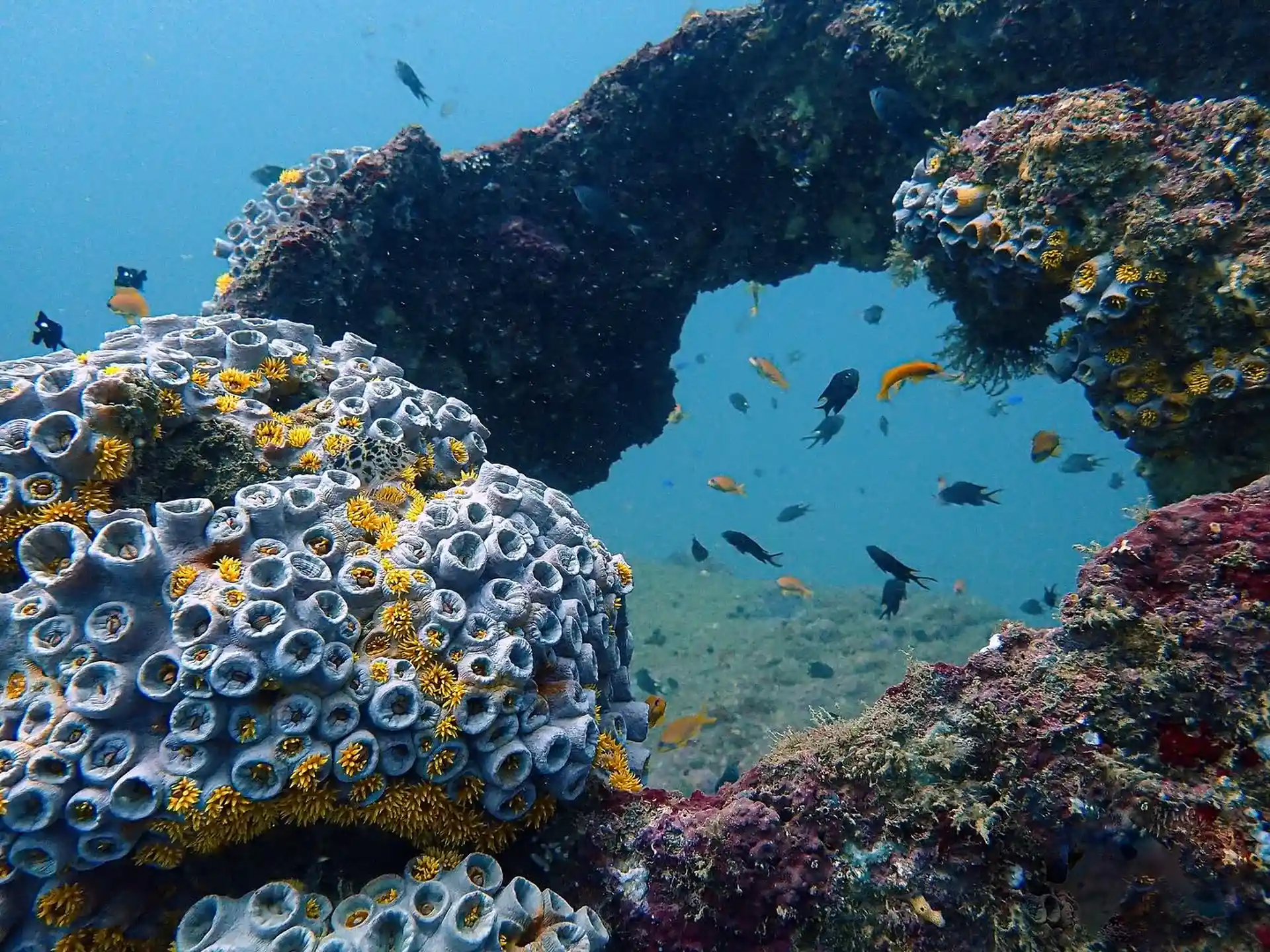Dive site photo