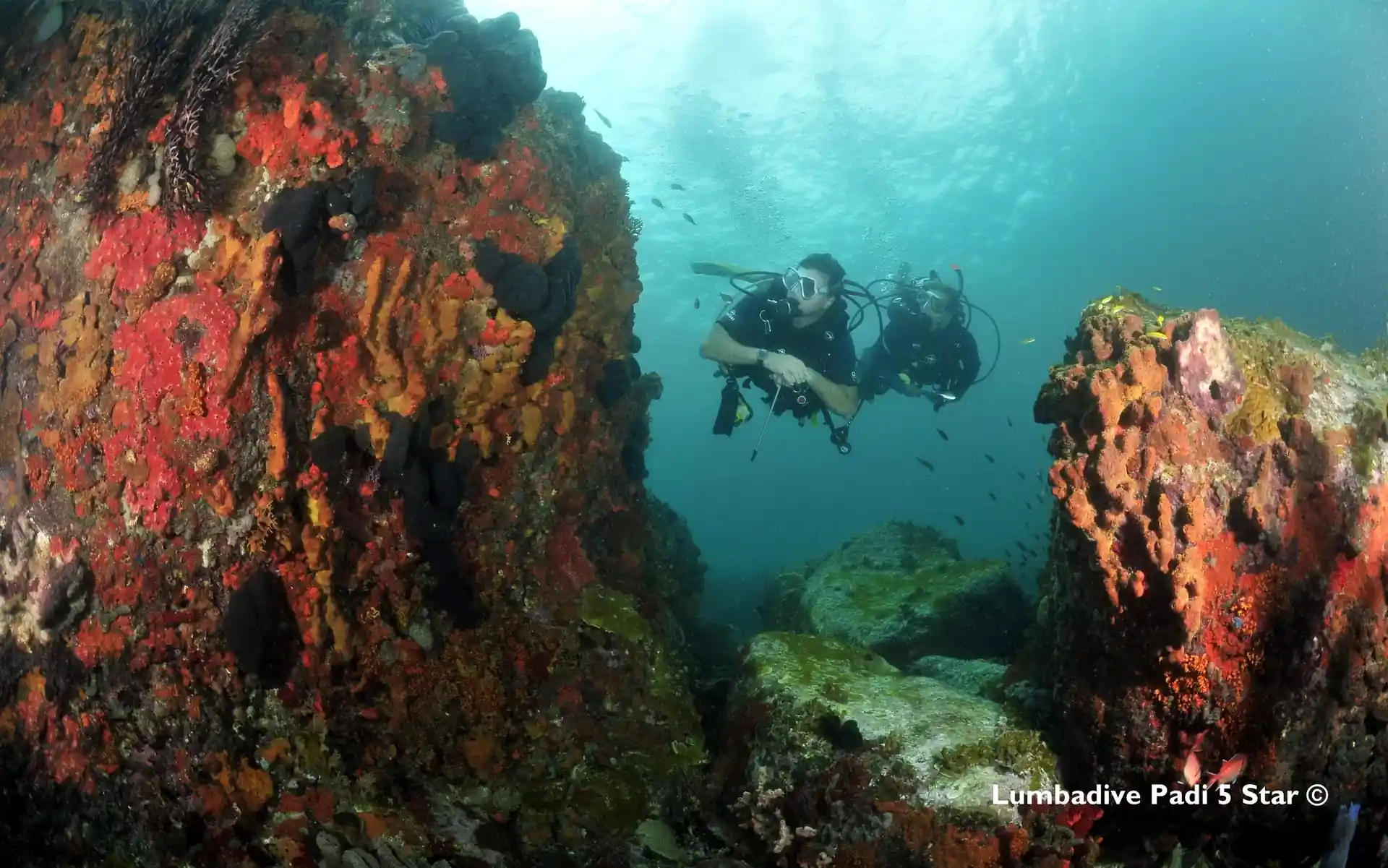 Dive site photo