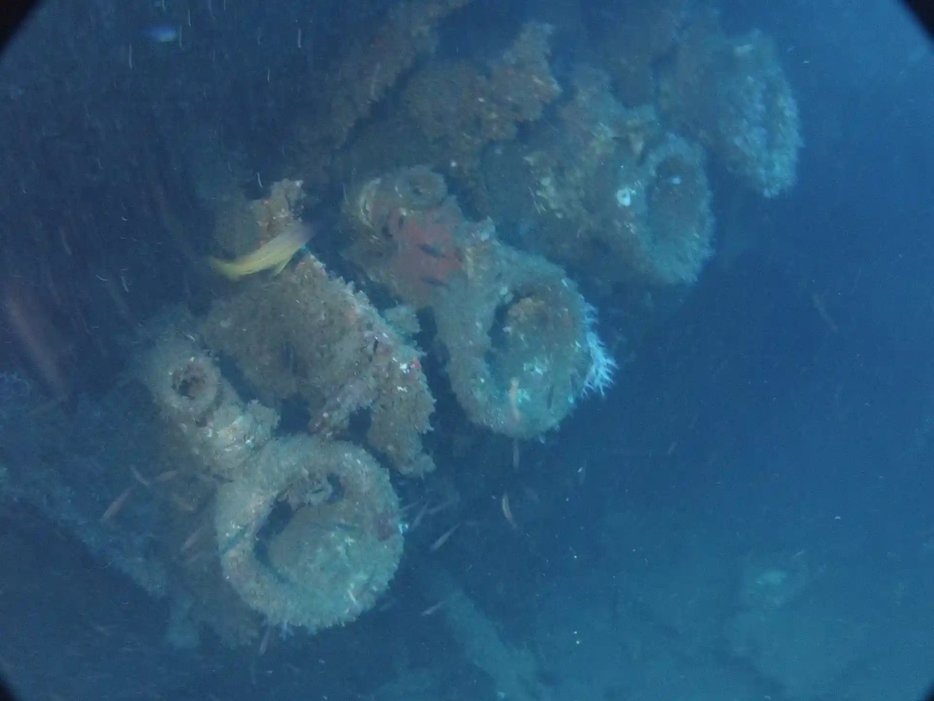Dive site photo