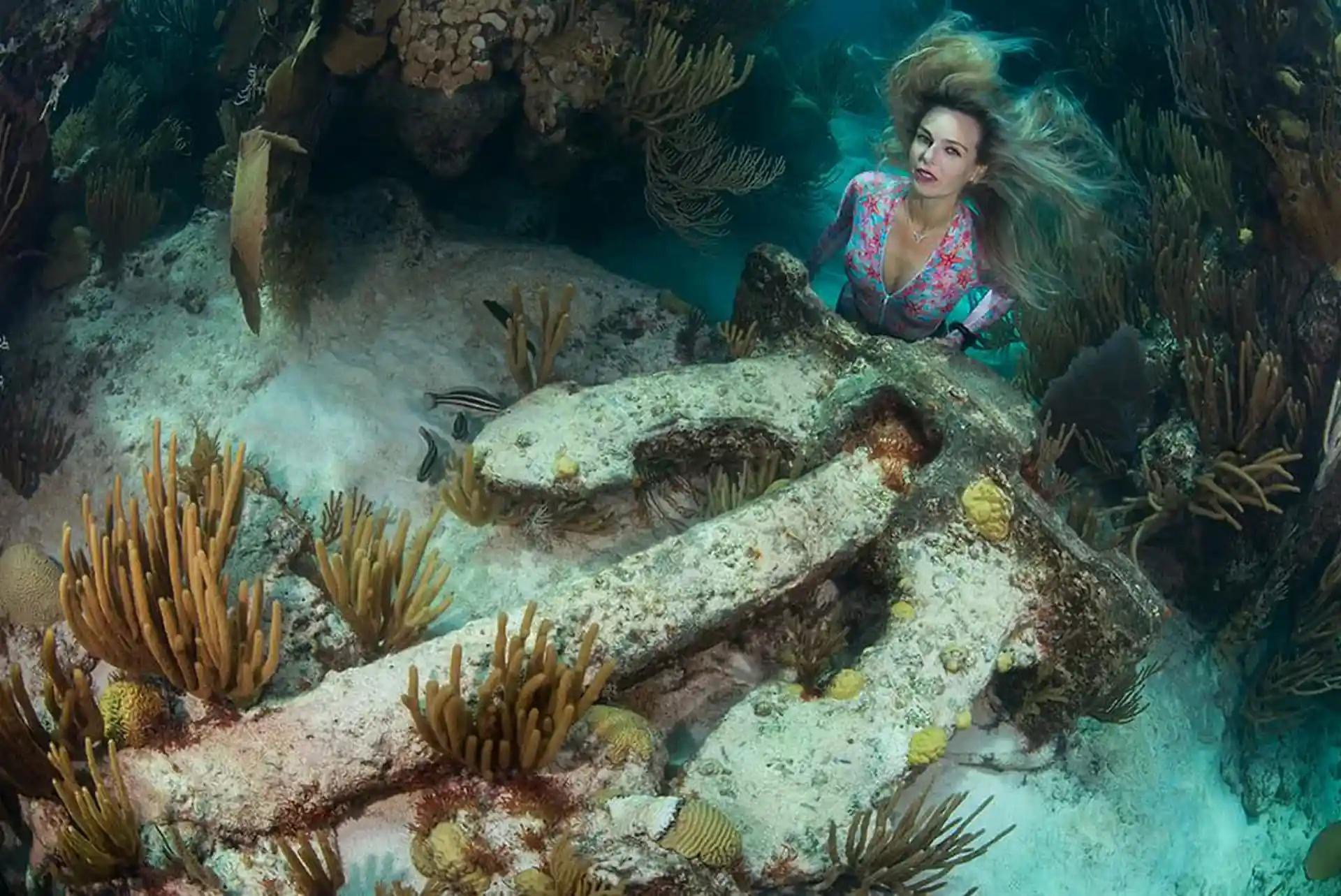 다이빙 포인트 사진