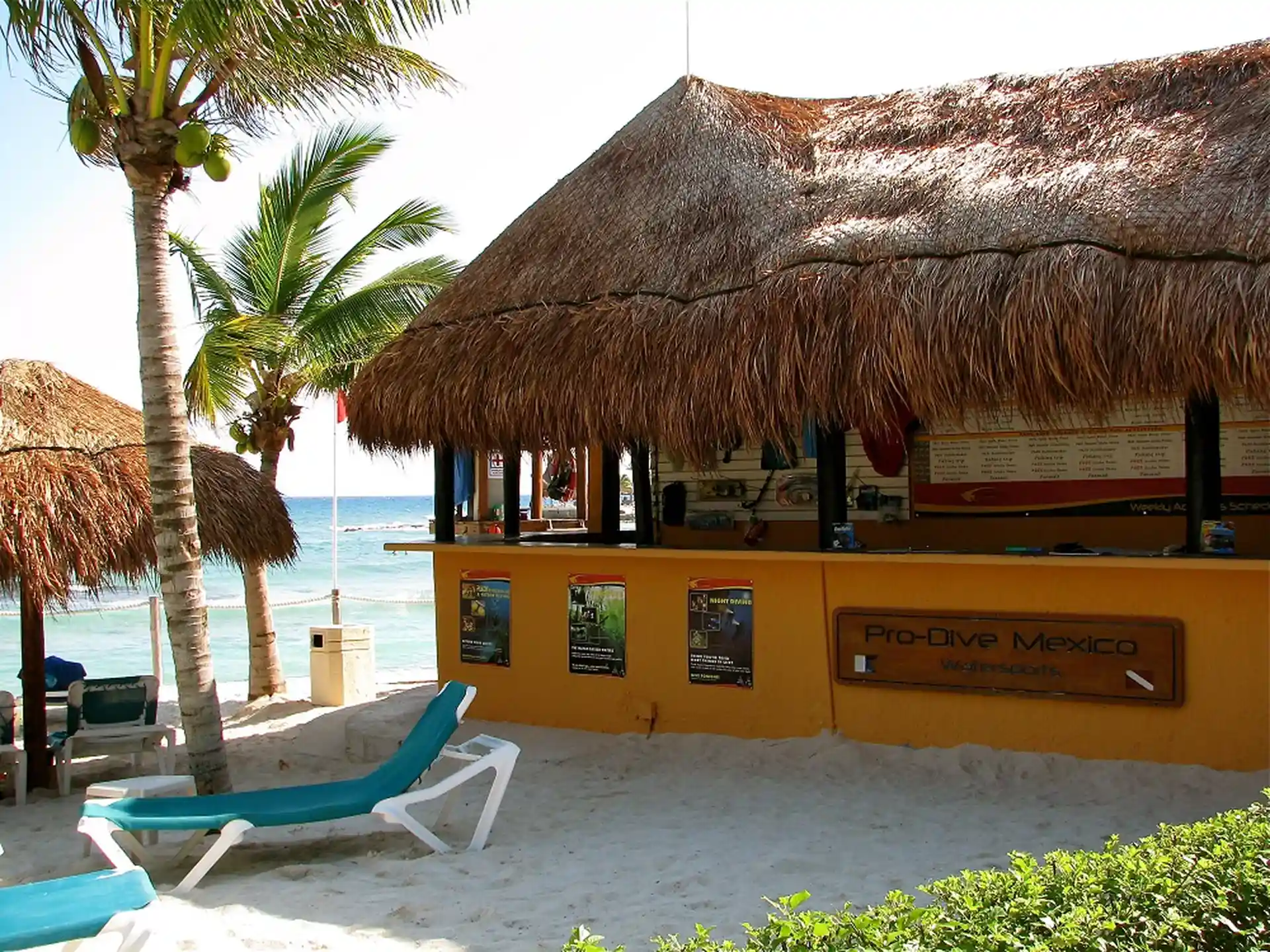 Foto de la tienda de buceo