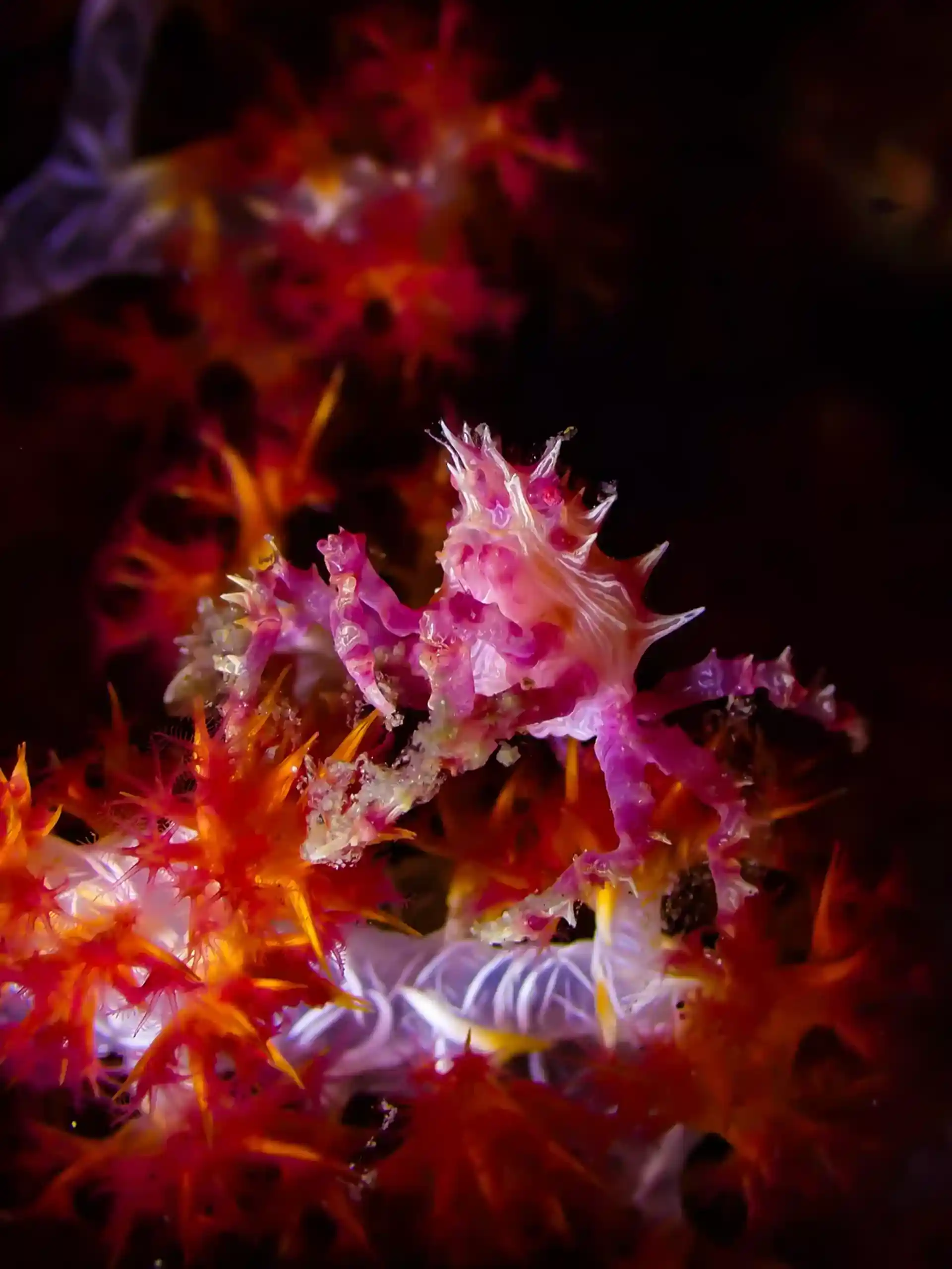 Foto del sitio de buceo