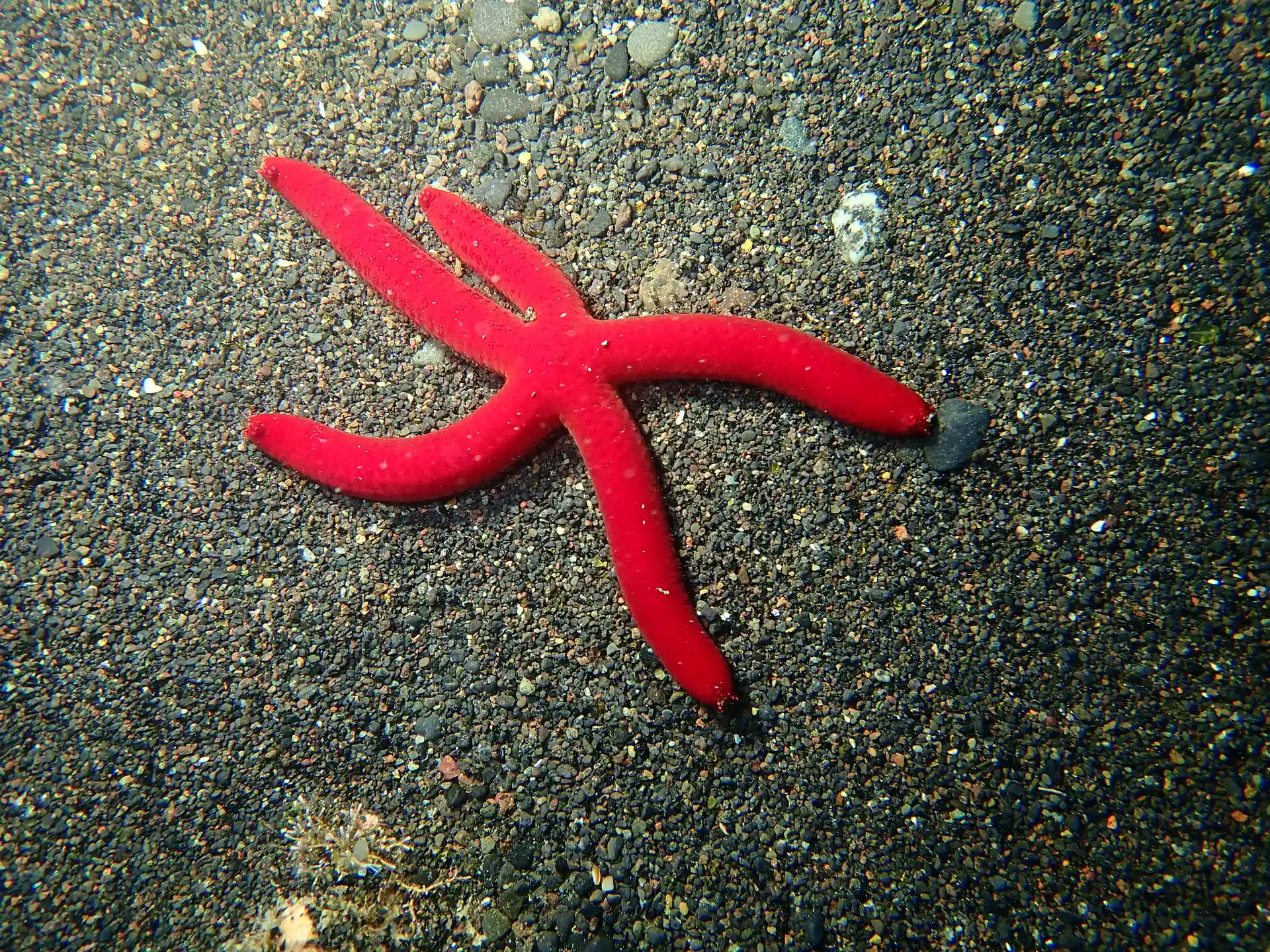 Dive shop photo
