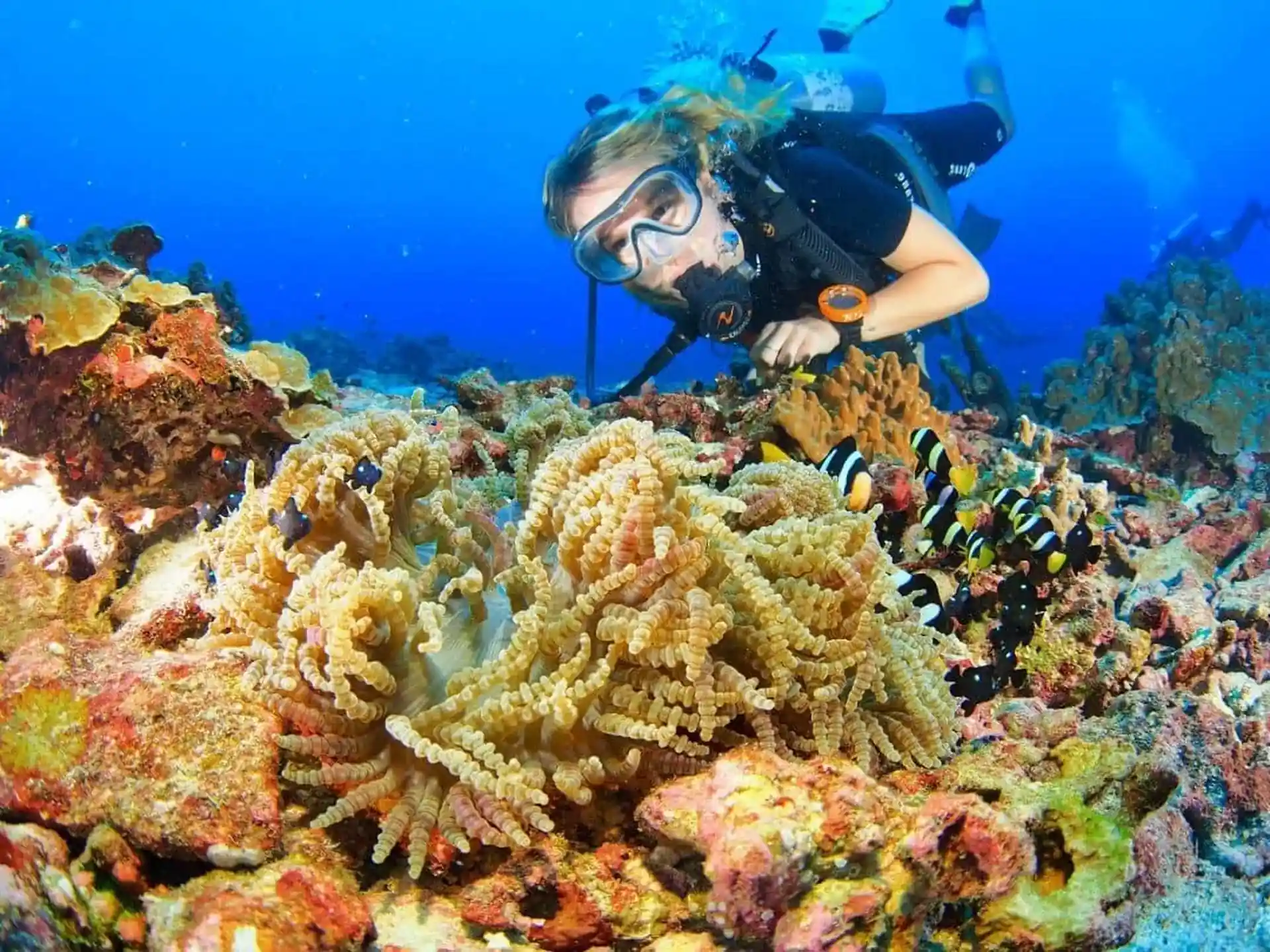 Diving