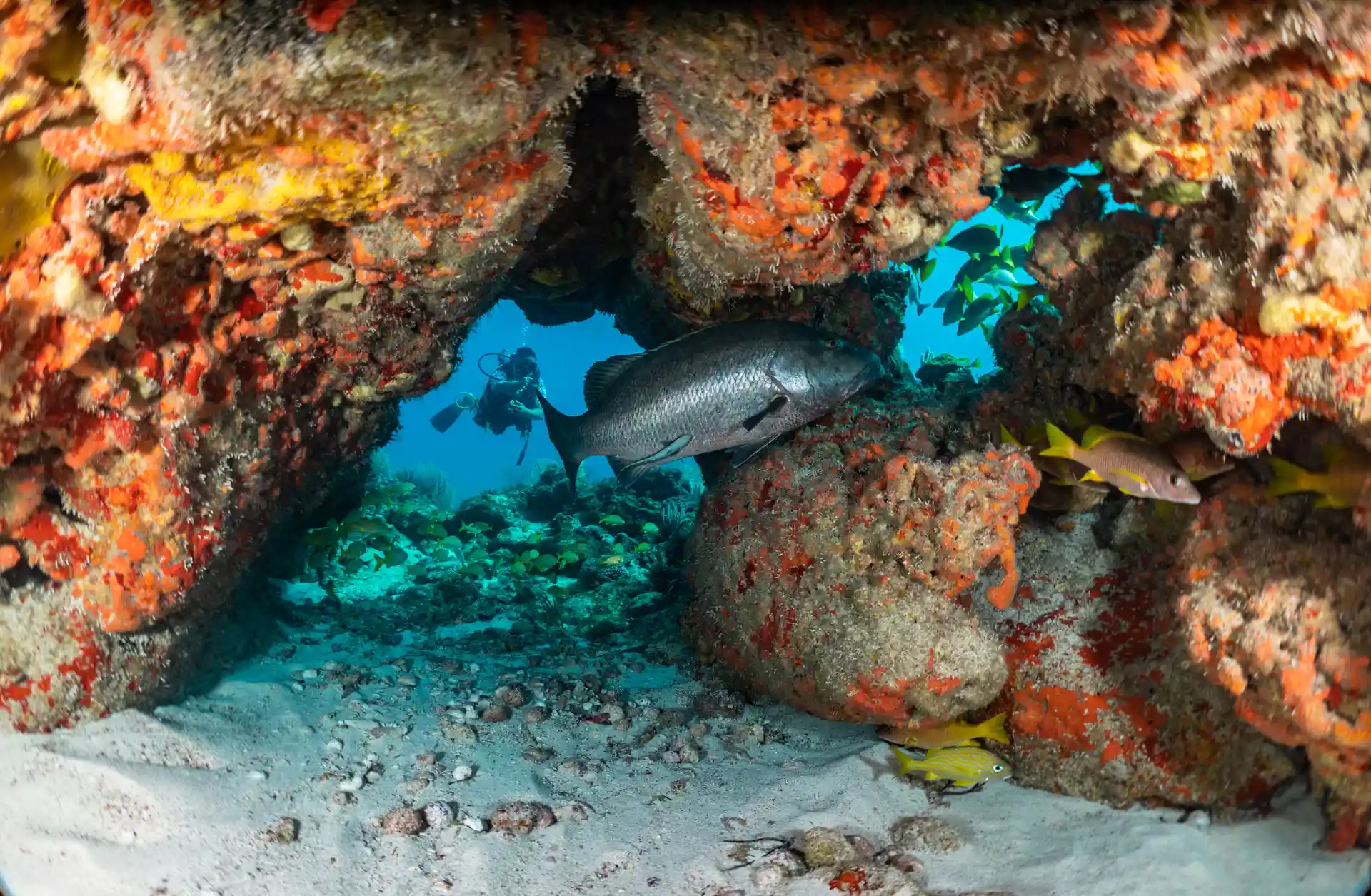 Photo de l'activité