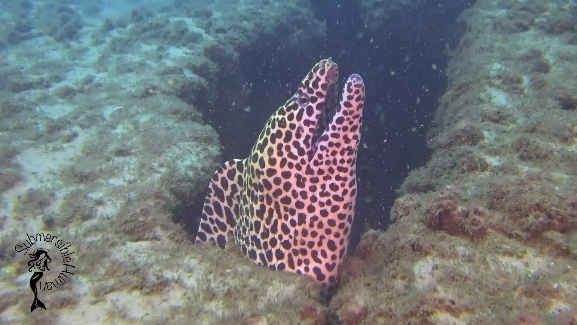 Dive site photo