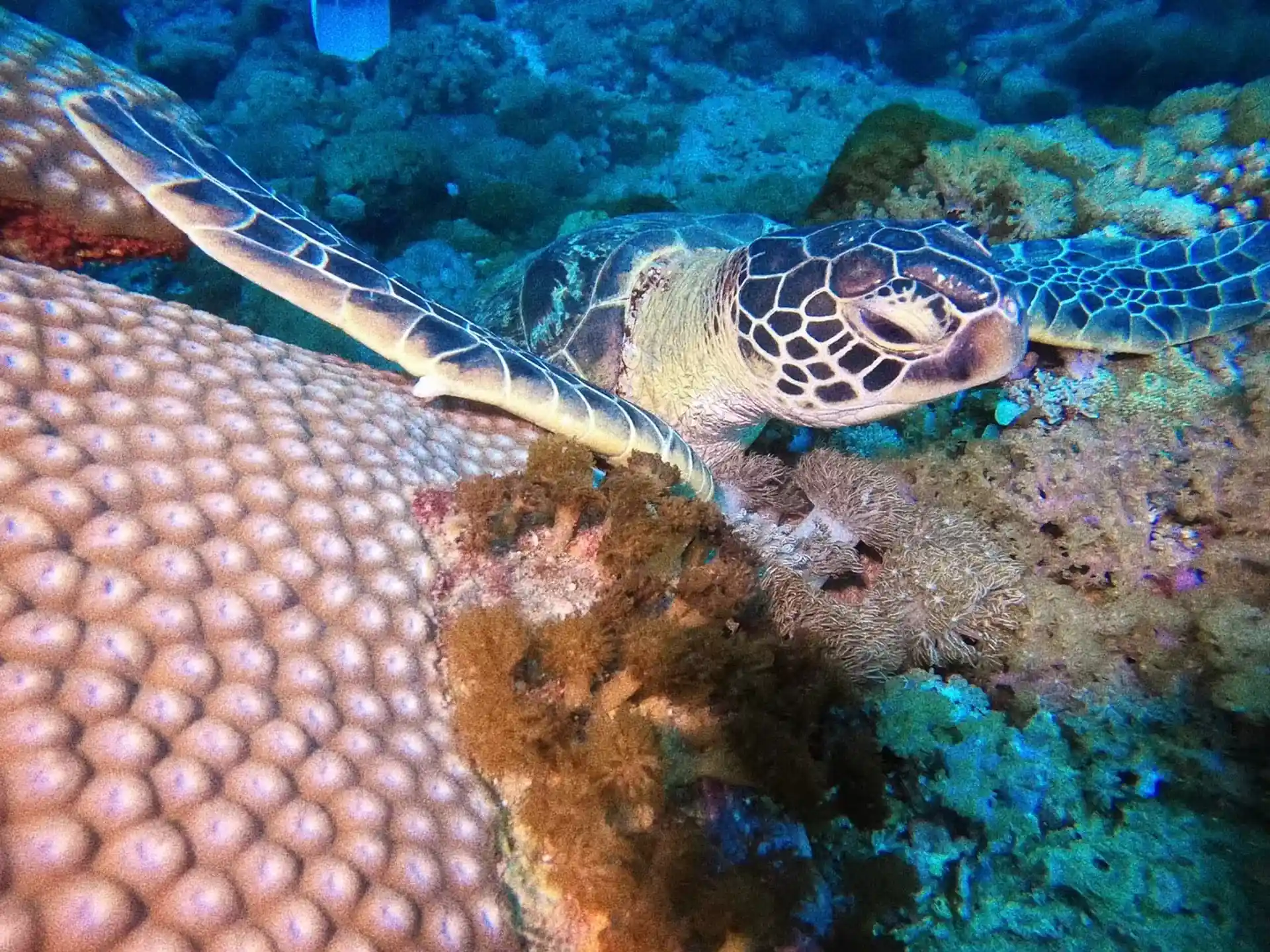Dive shop photo
