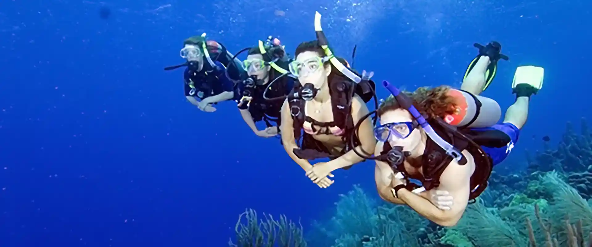 Enjoy the excitement of seeing marine life found only at depth.