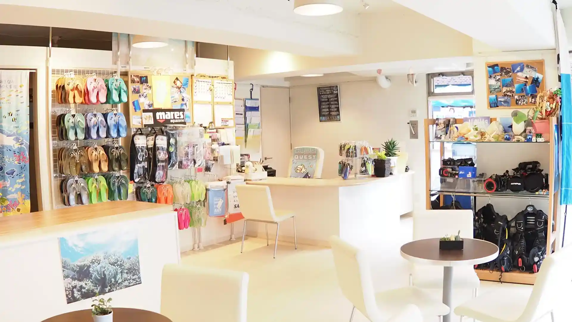 Dive shop photo