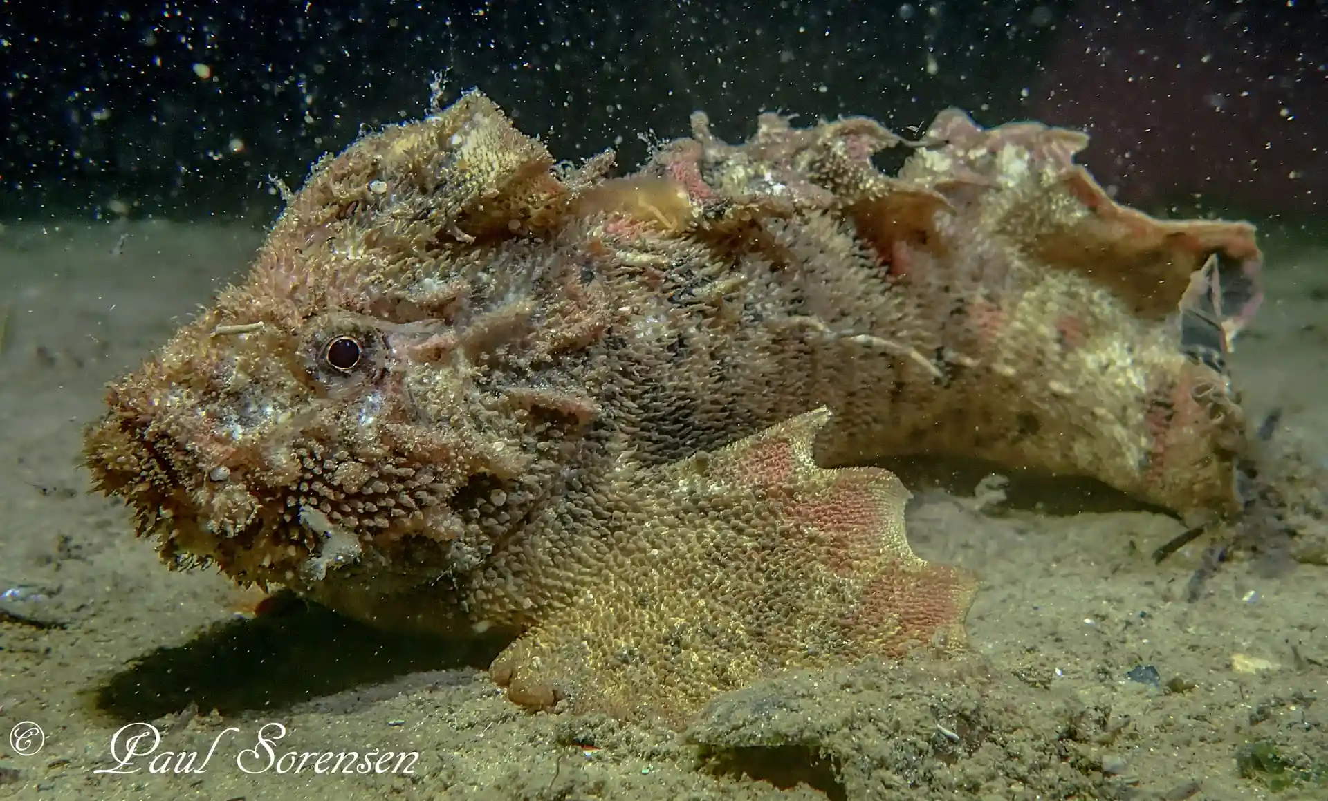 Dive shop photo