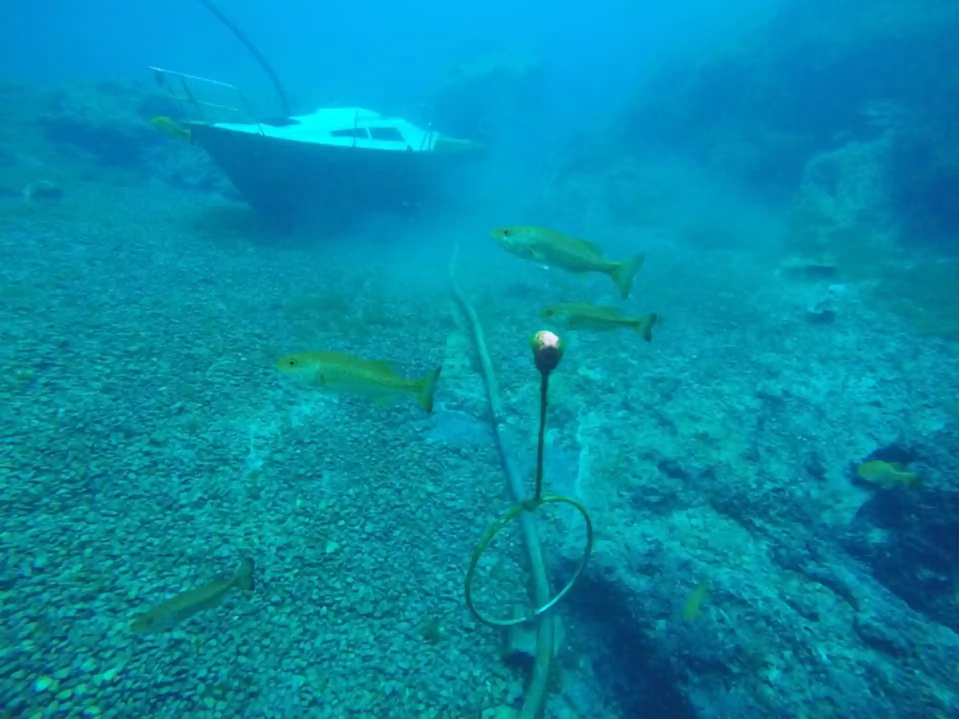 Foto del sitio de buceo