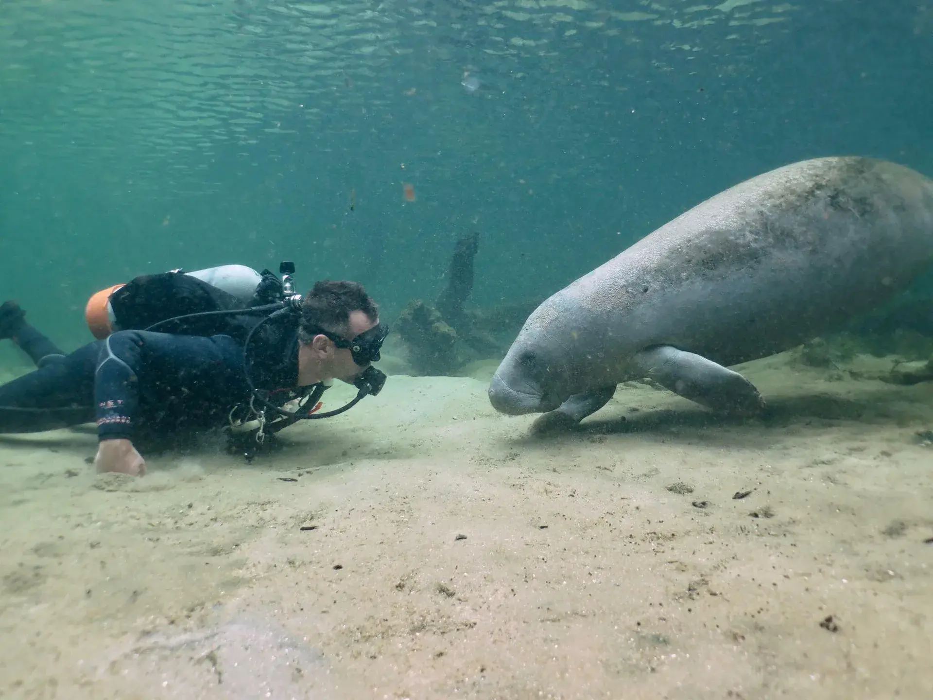 YOU HAVE THE CHANCE TO SEE LOTS OF MARINE LIFE