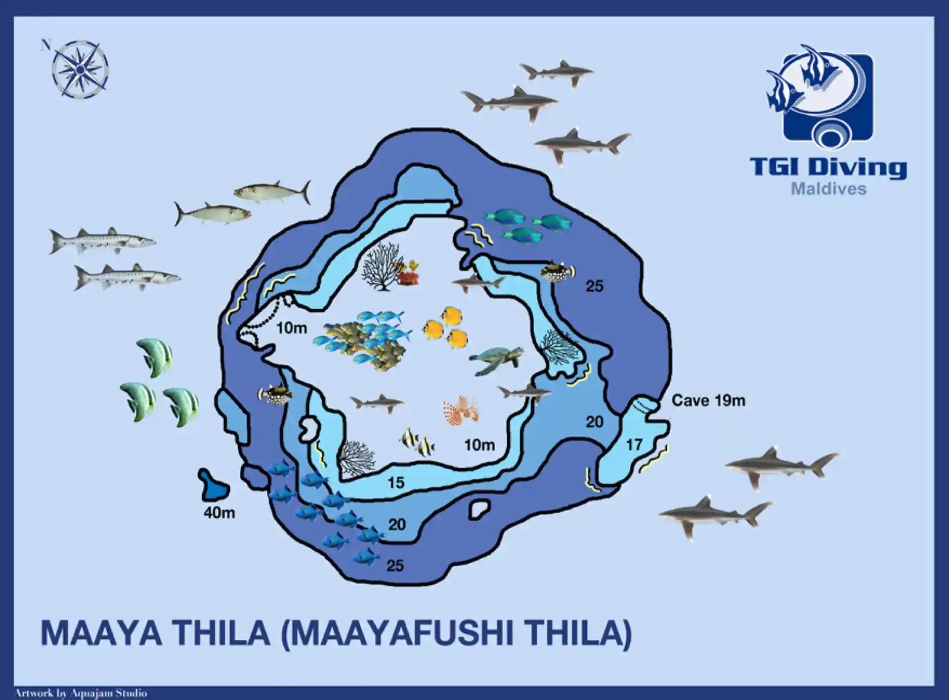 Foto del sitio de buceo