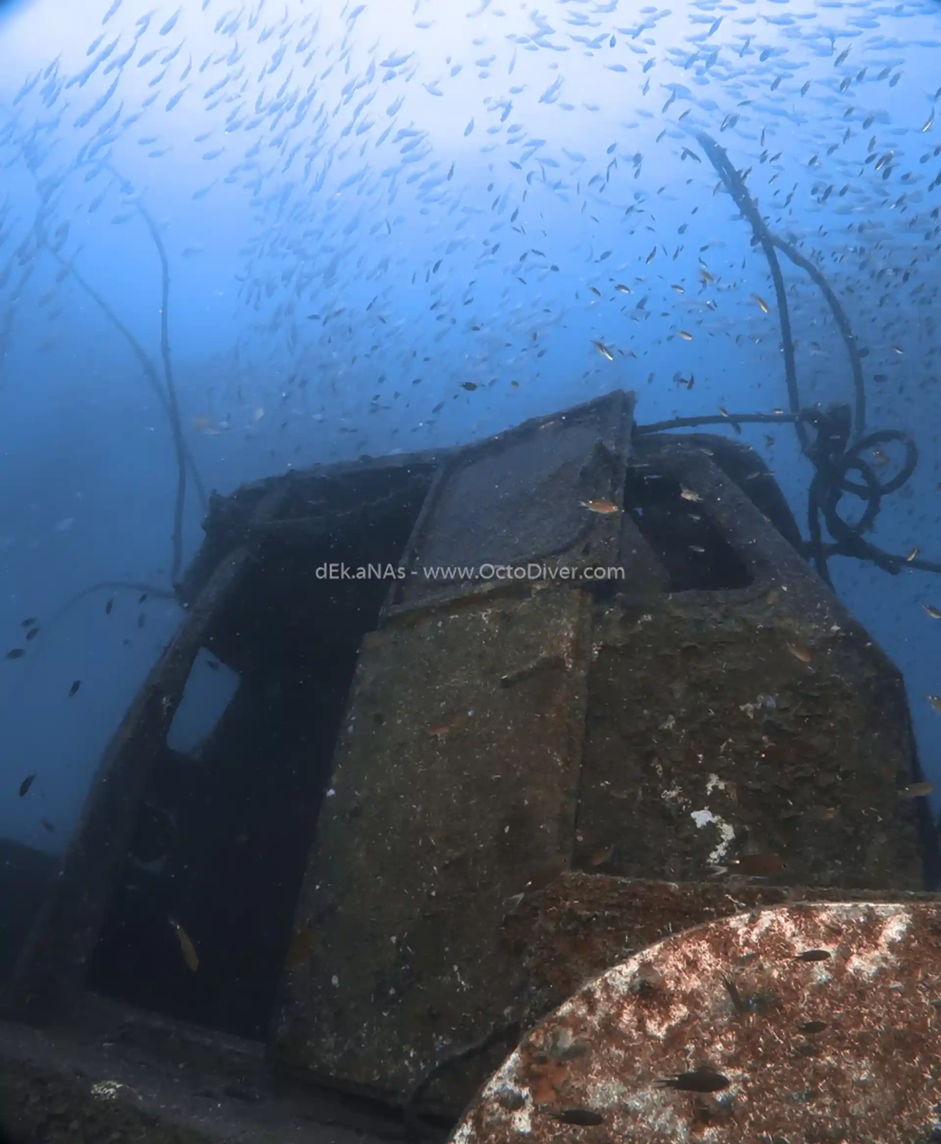 Dive site photo