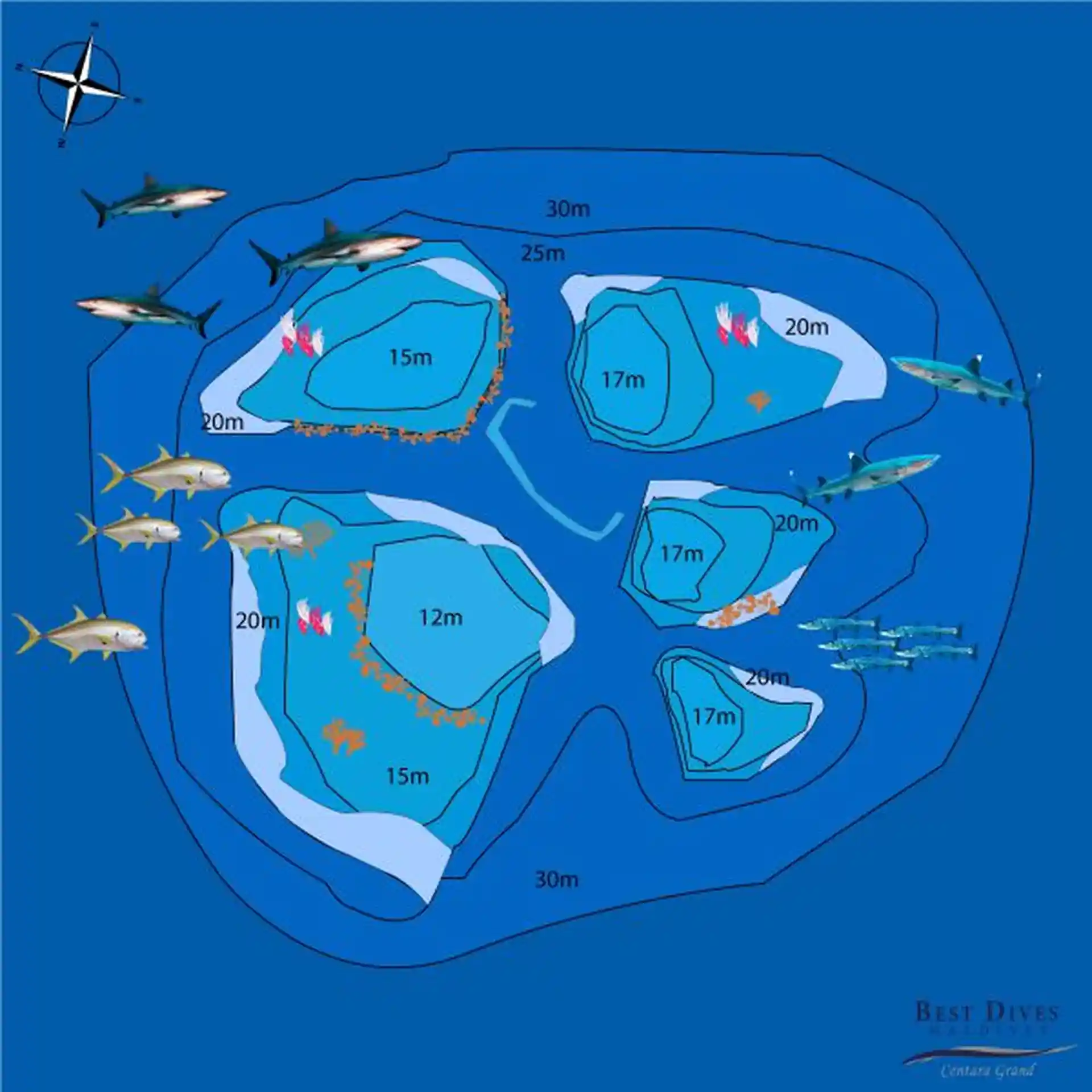 Dive site photo