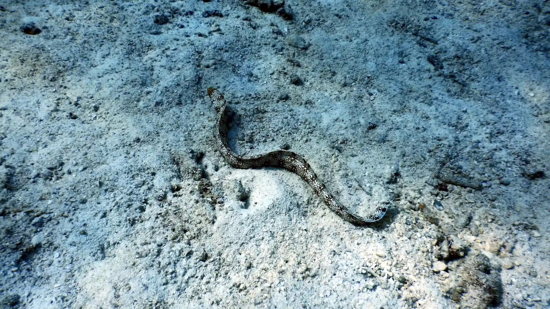 Photo du site de plongée