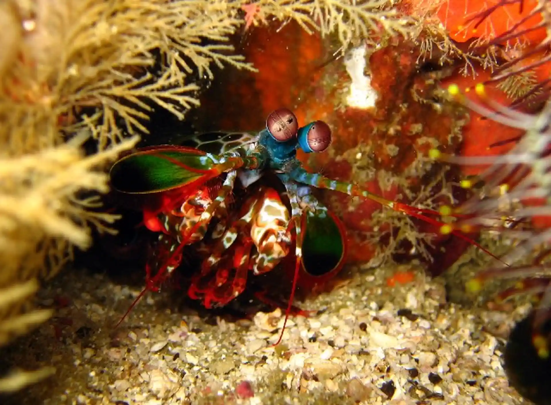 Dive site photo
