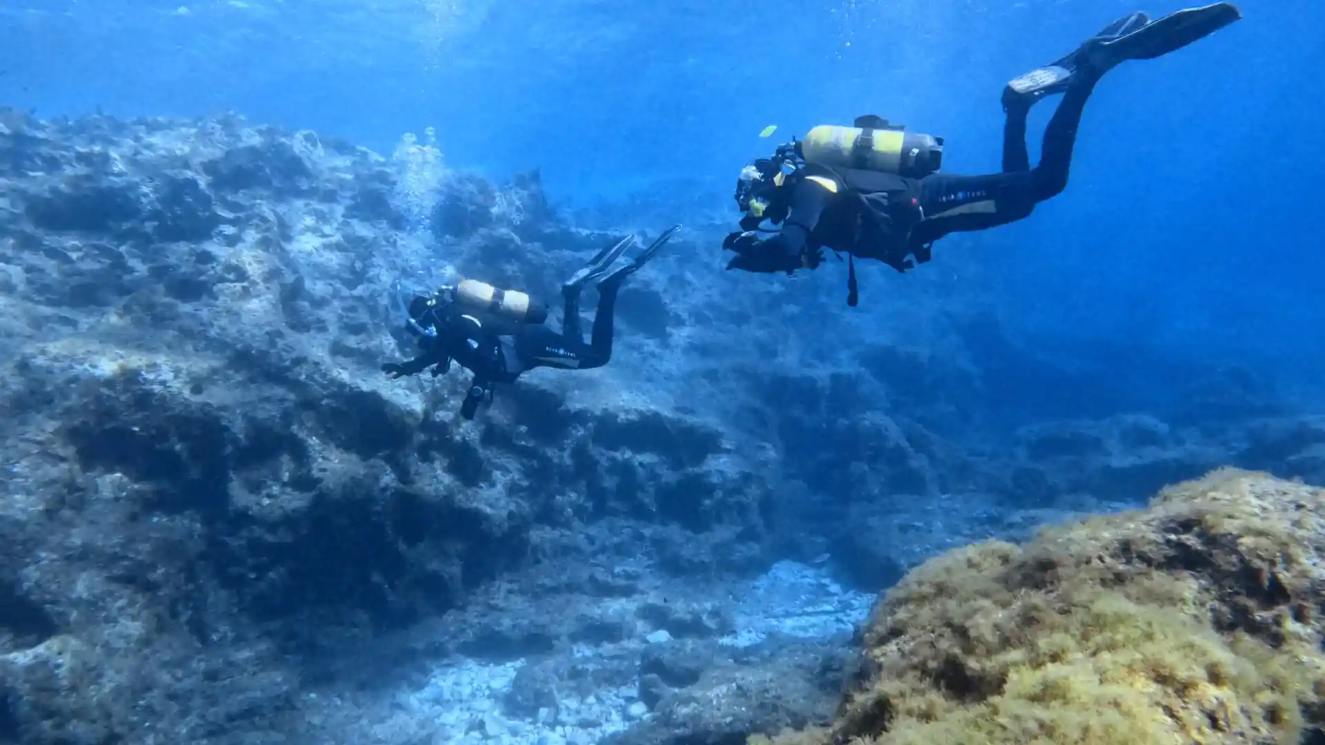 Enjoying a safety stop