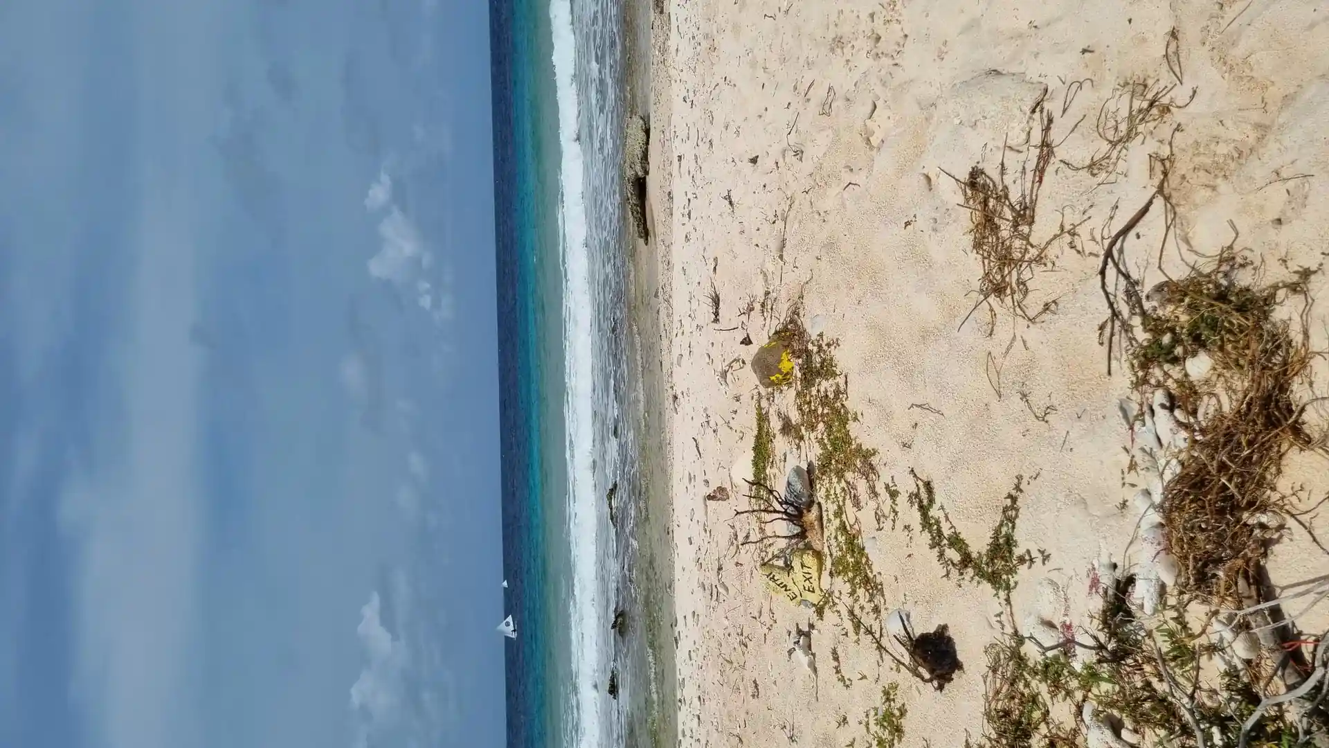 Dive site photo