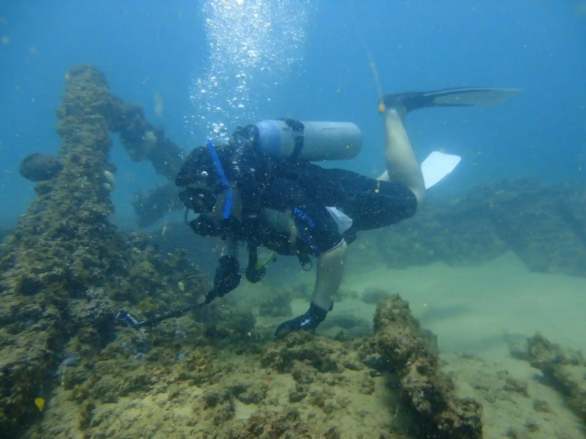 Dive site photo