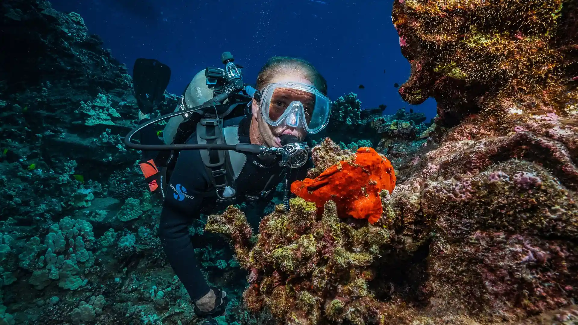 Dive site photo