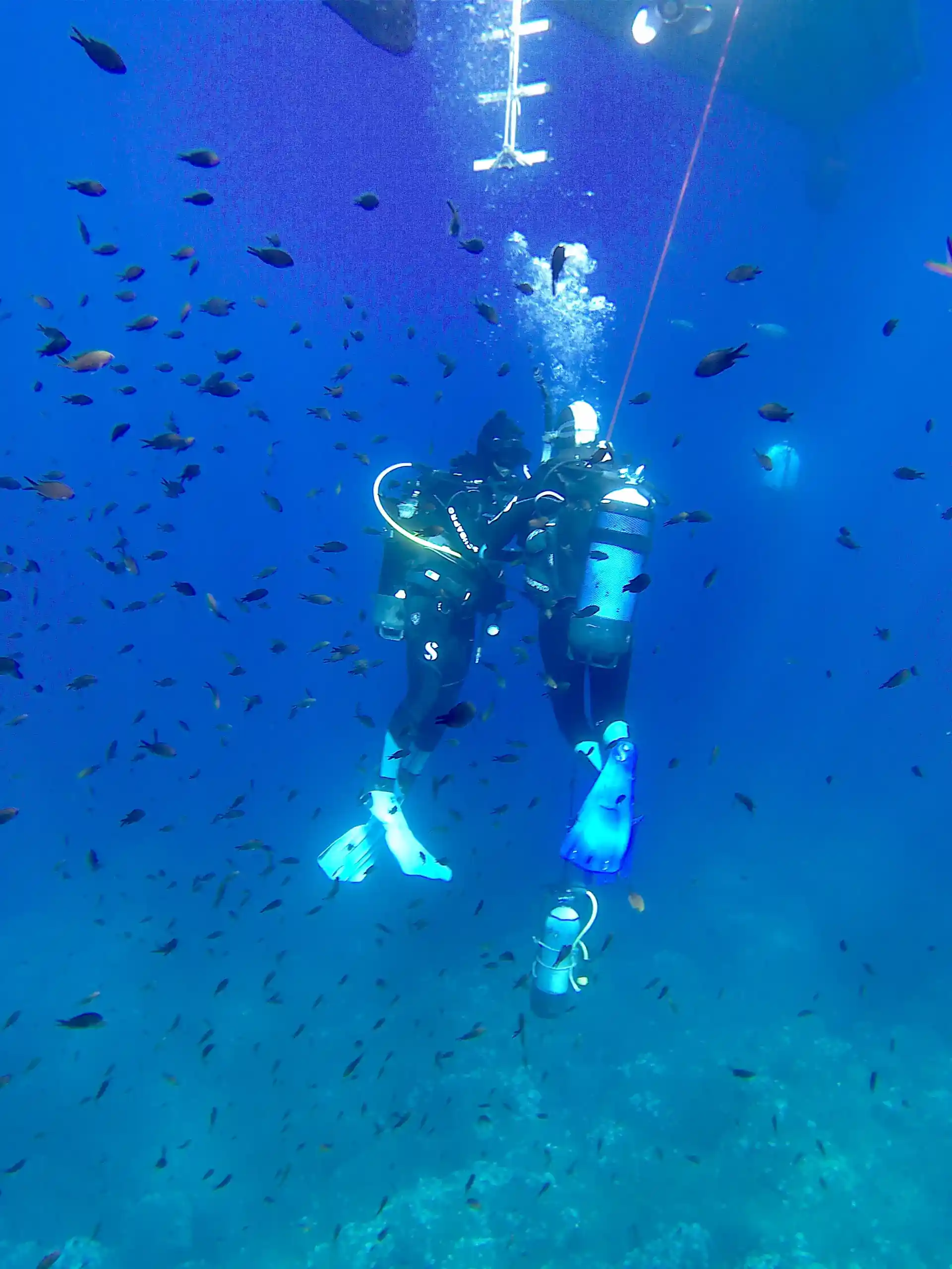 La lenta discesa verso tutto il bello che c'è