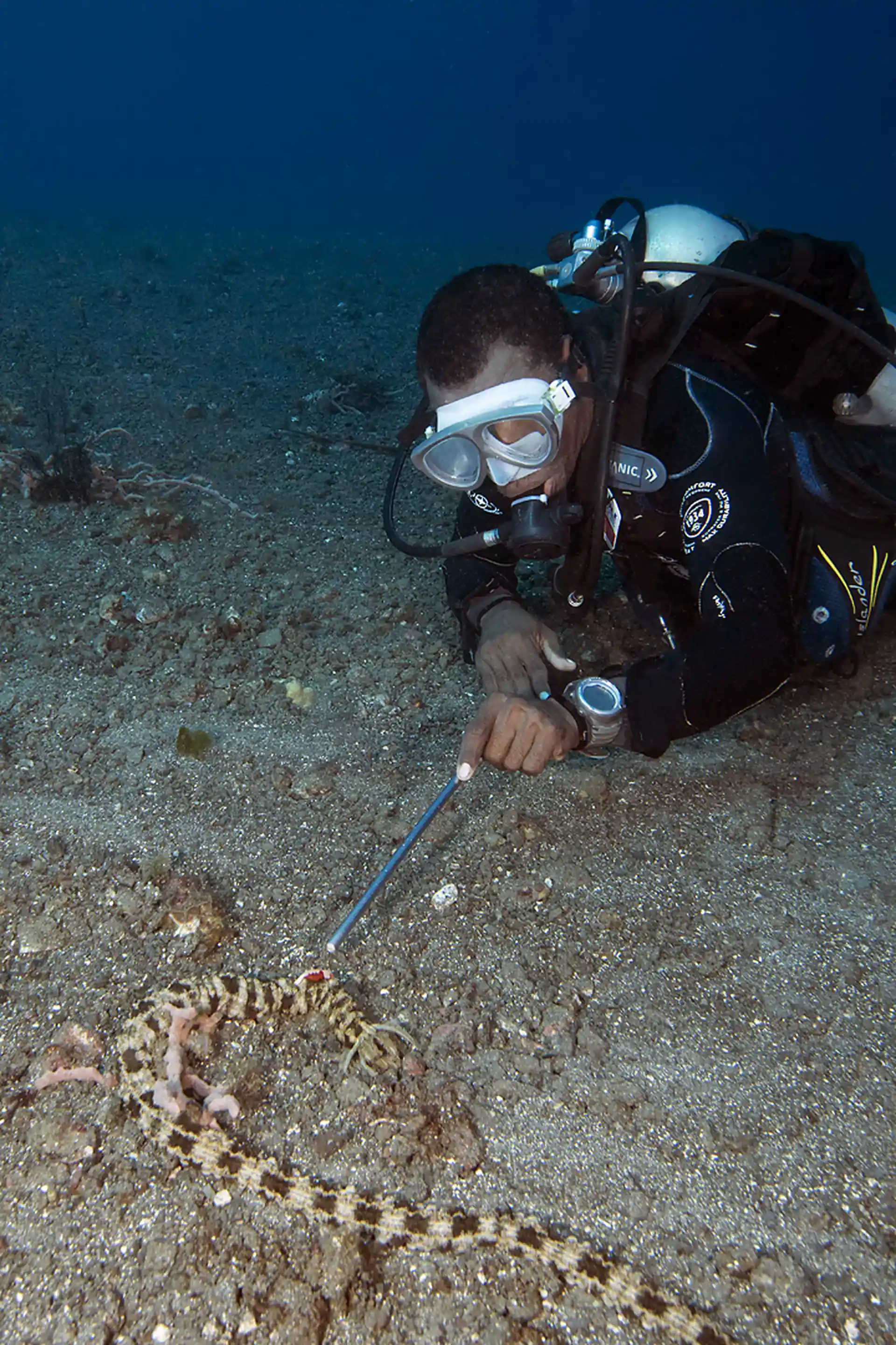 Photo du site de plongée