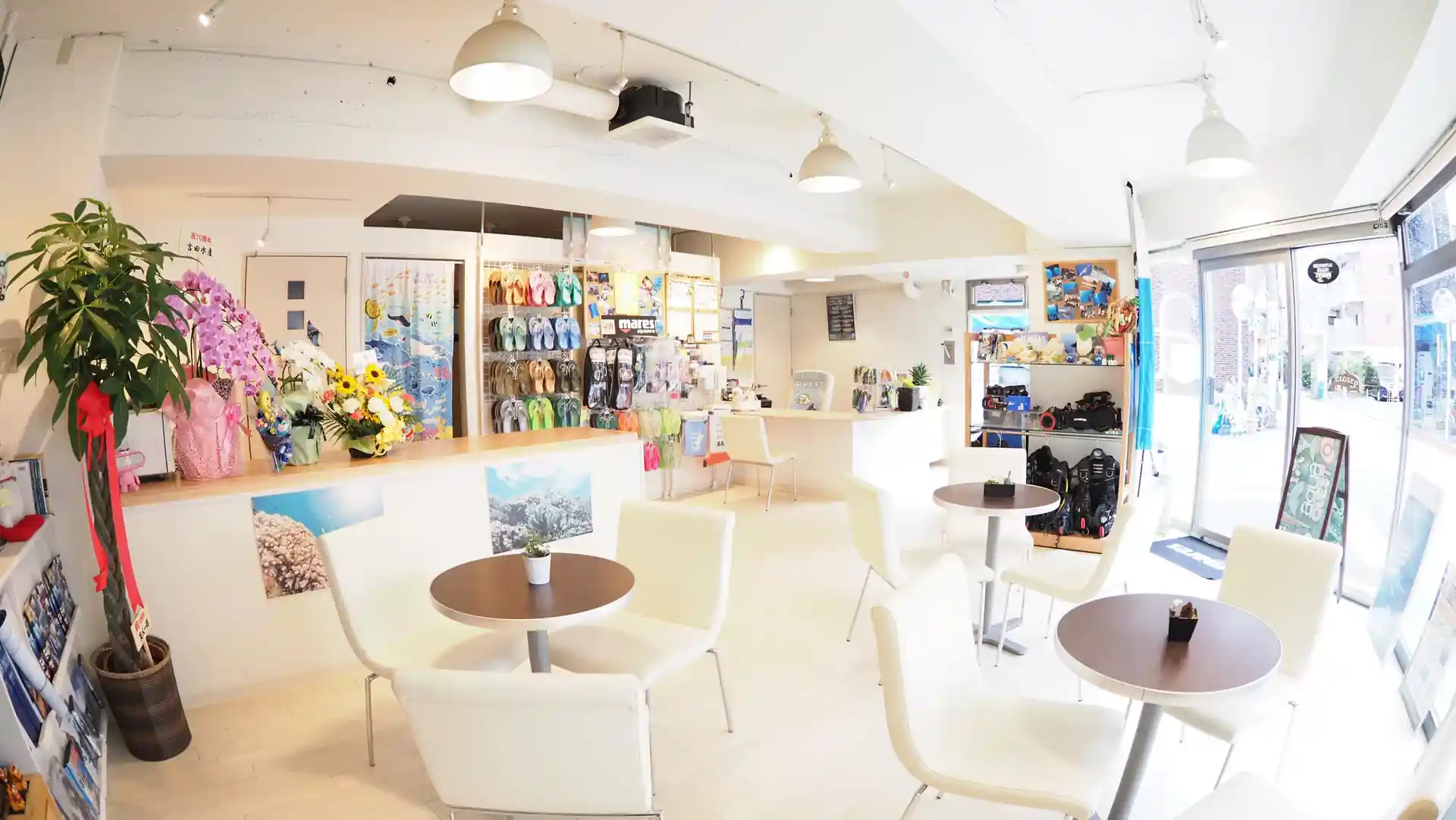 Dive shop photo