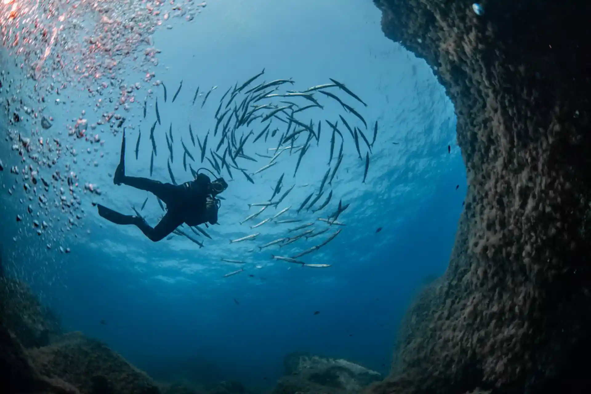 Dive site photo
