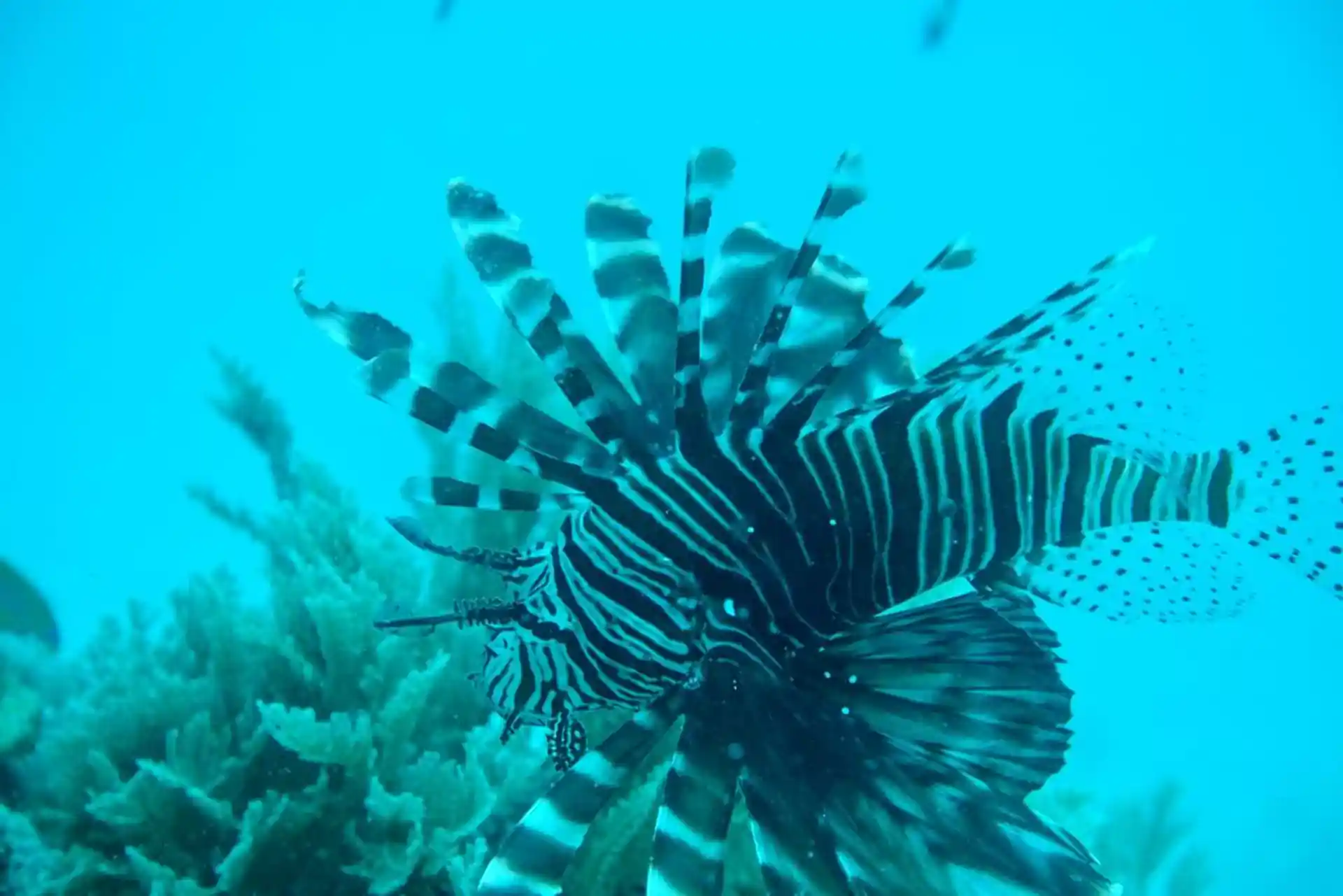 Dive site photo