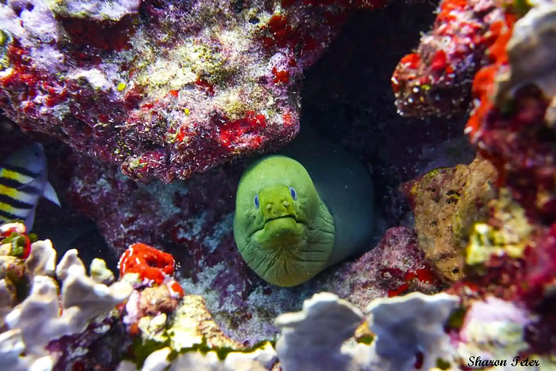 Dive site photo