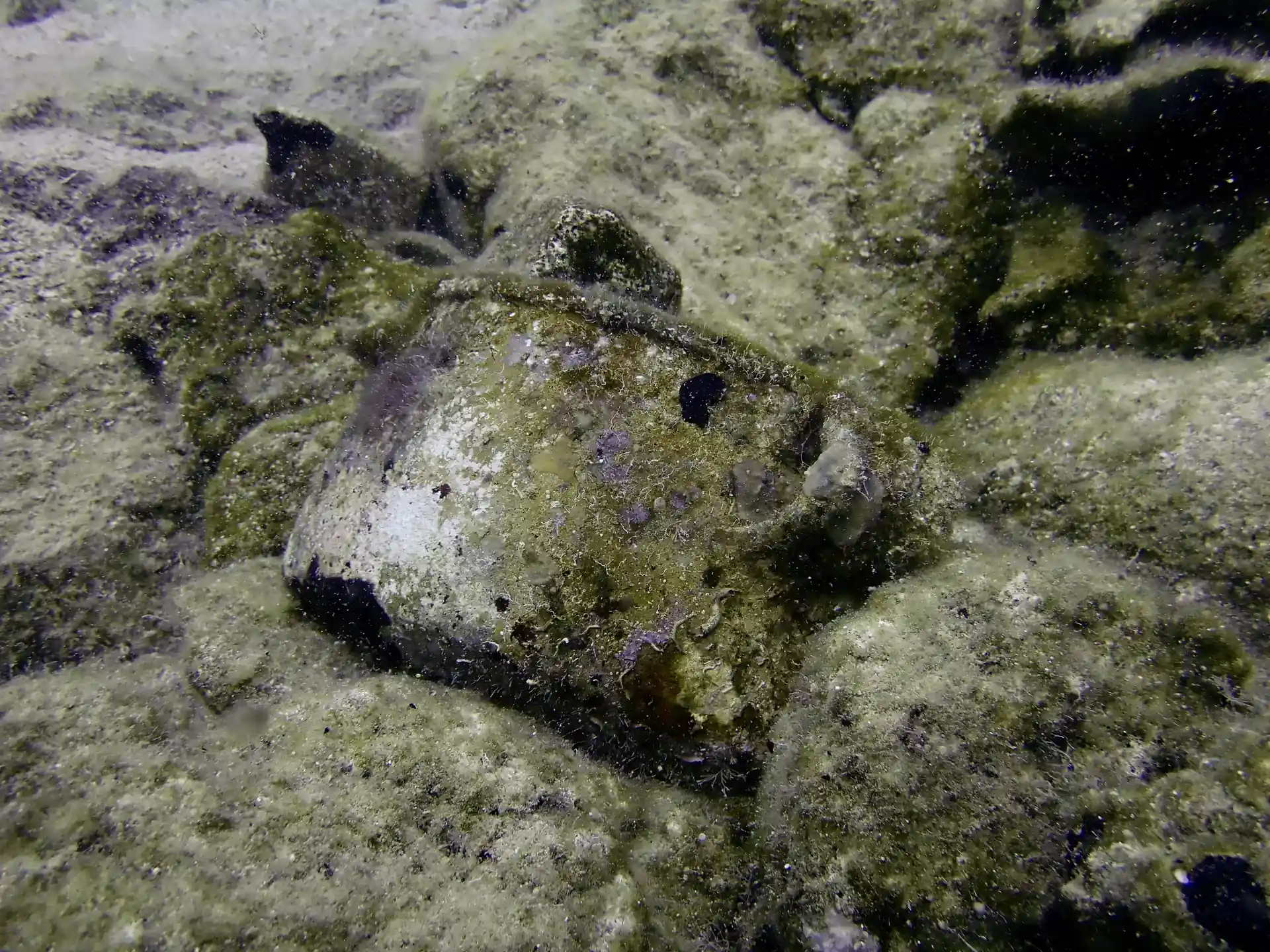 Dive site photo