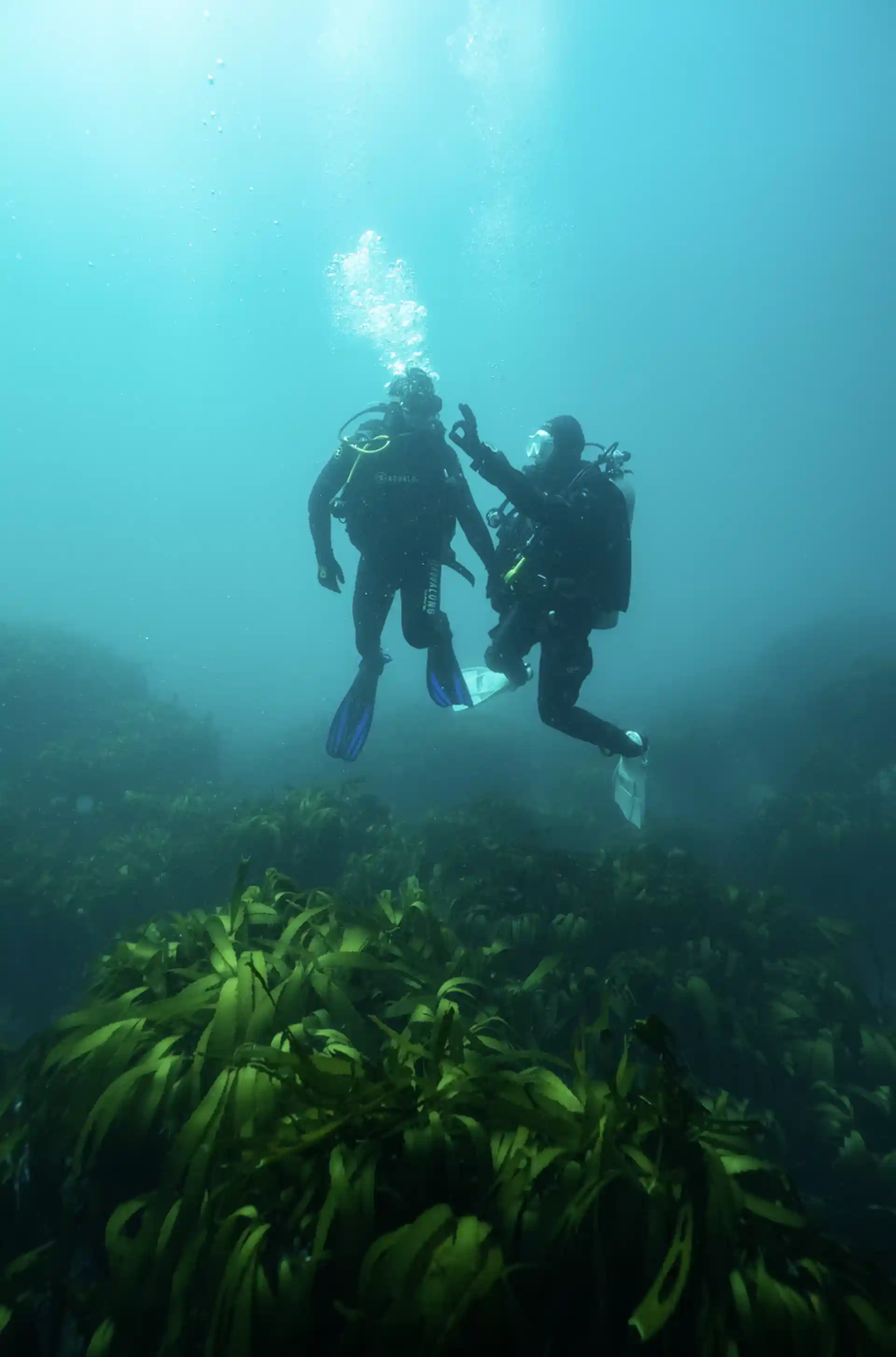 Dive site photo