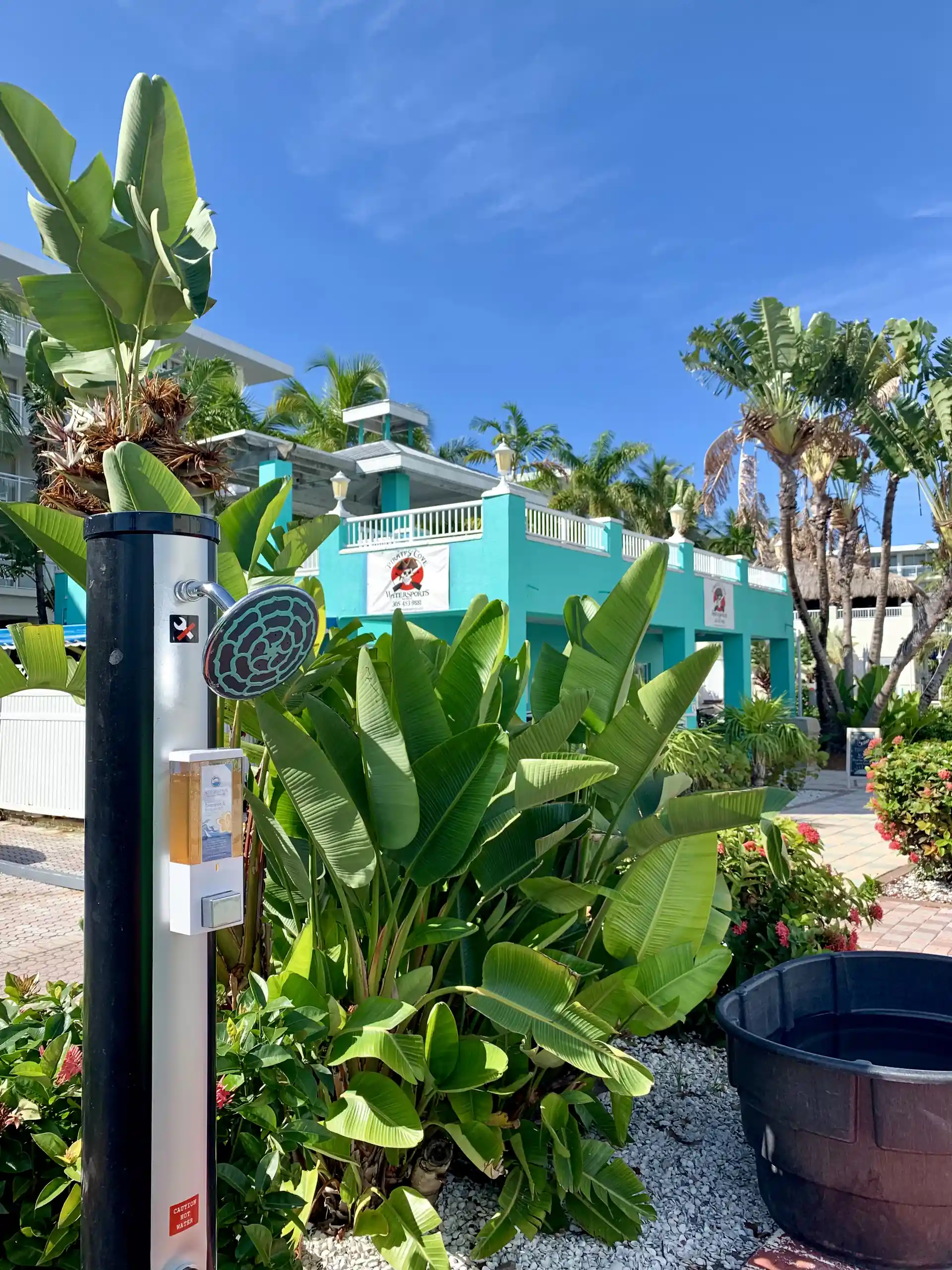 Photo de l'activité