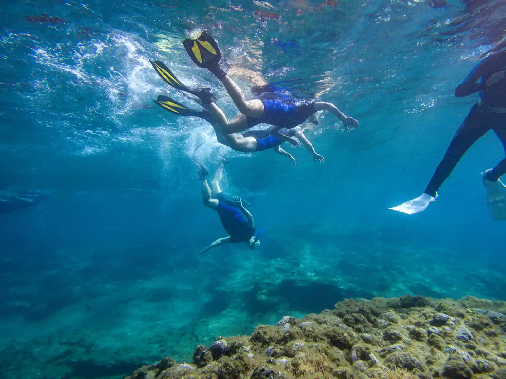 Tenerife’s coast as you’ve never seen it before.