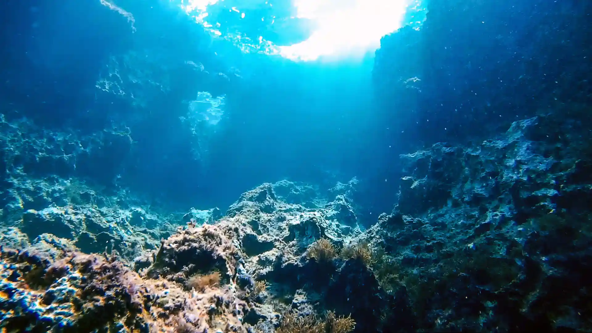 Dive site photo