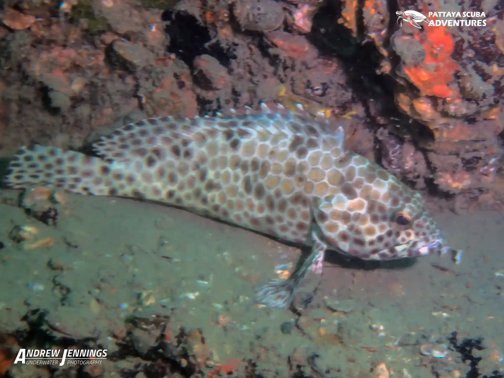 다이빙 포인트 사진