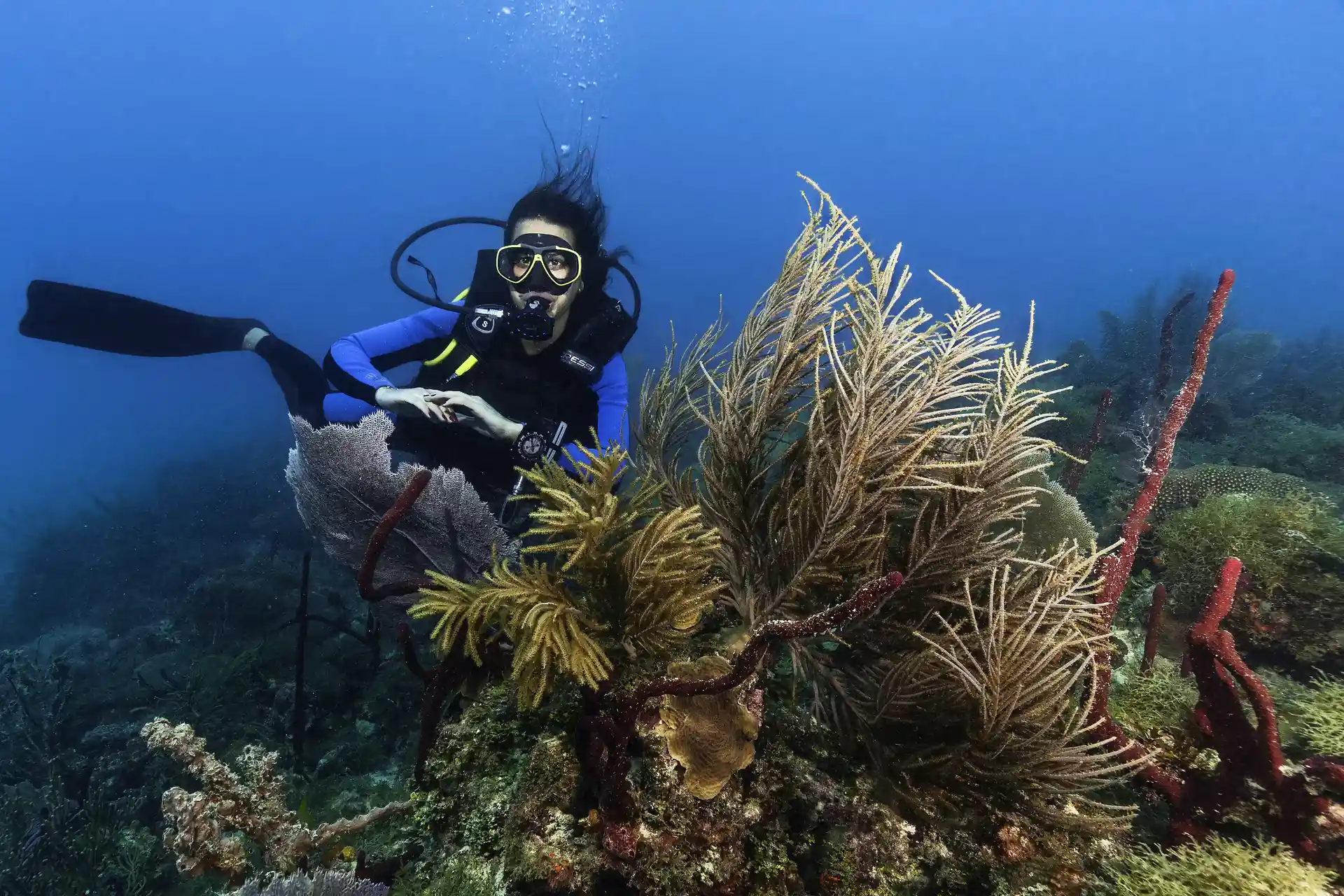 Photo de l'activité