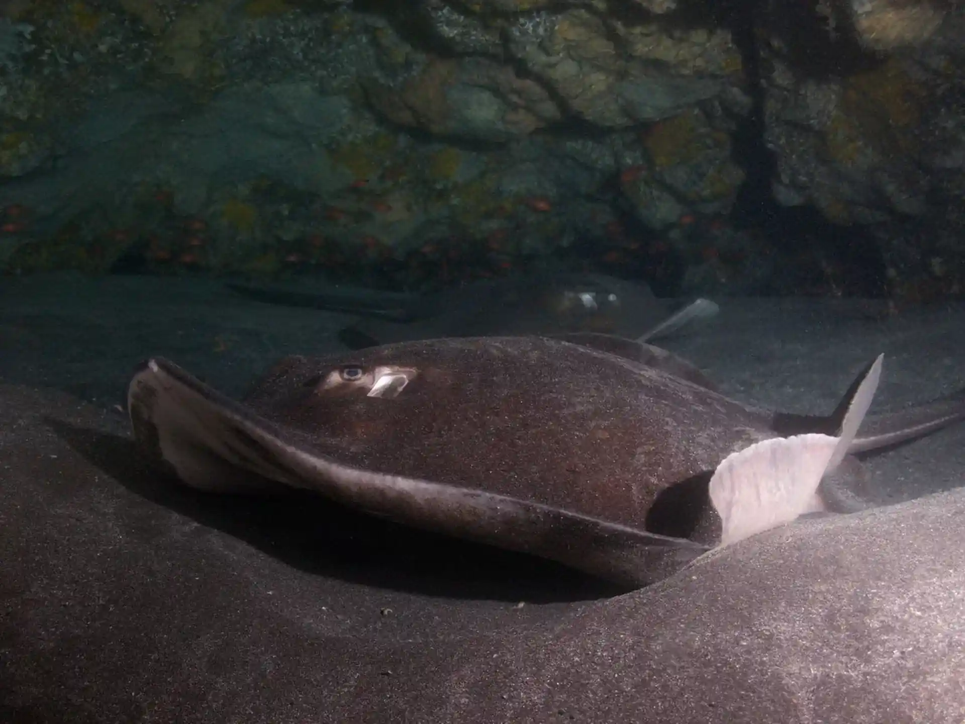 Photo du site de plongée