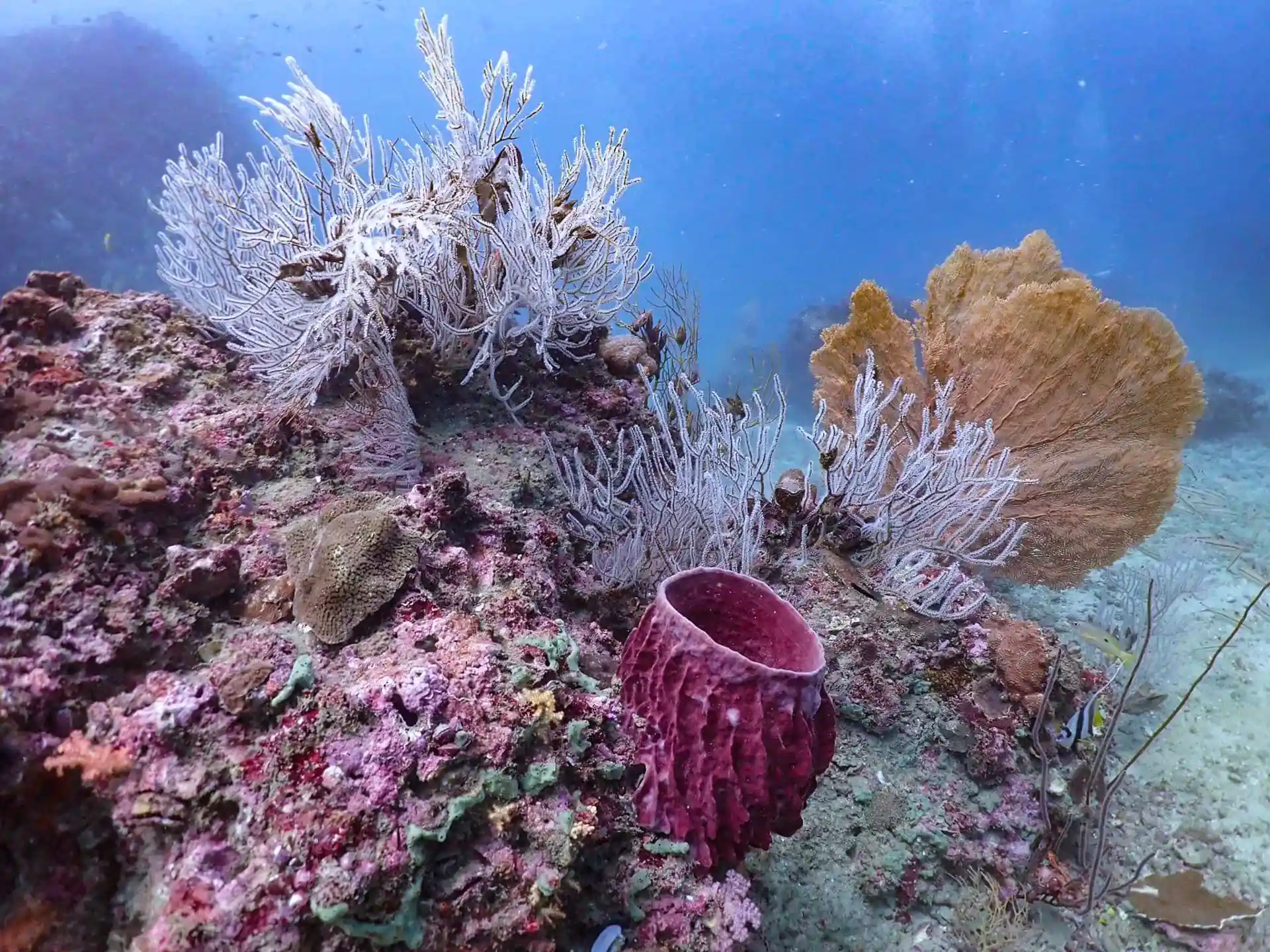 Foto des Tauchplatzes