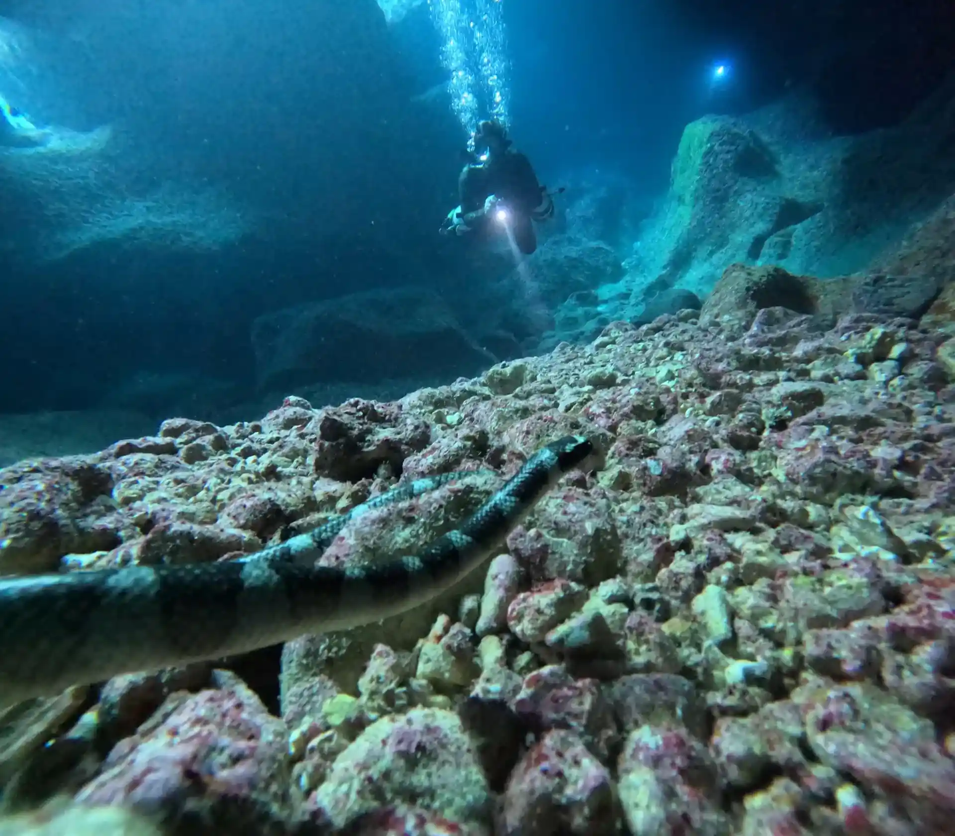 Foto des Tauchplatzes