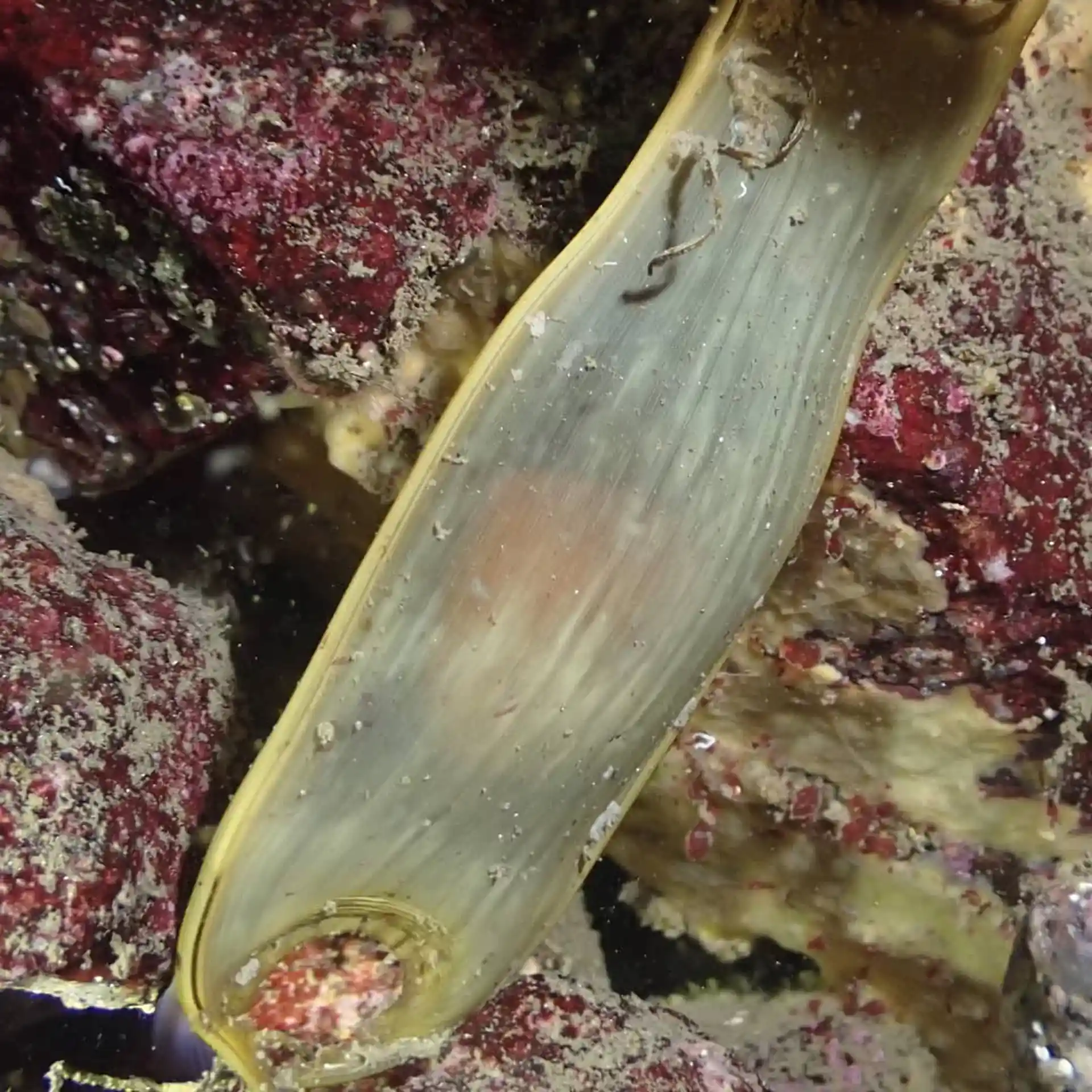 Dive shop photo