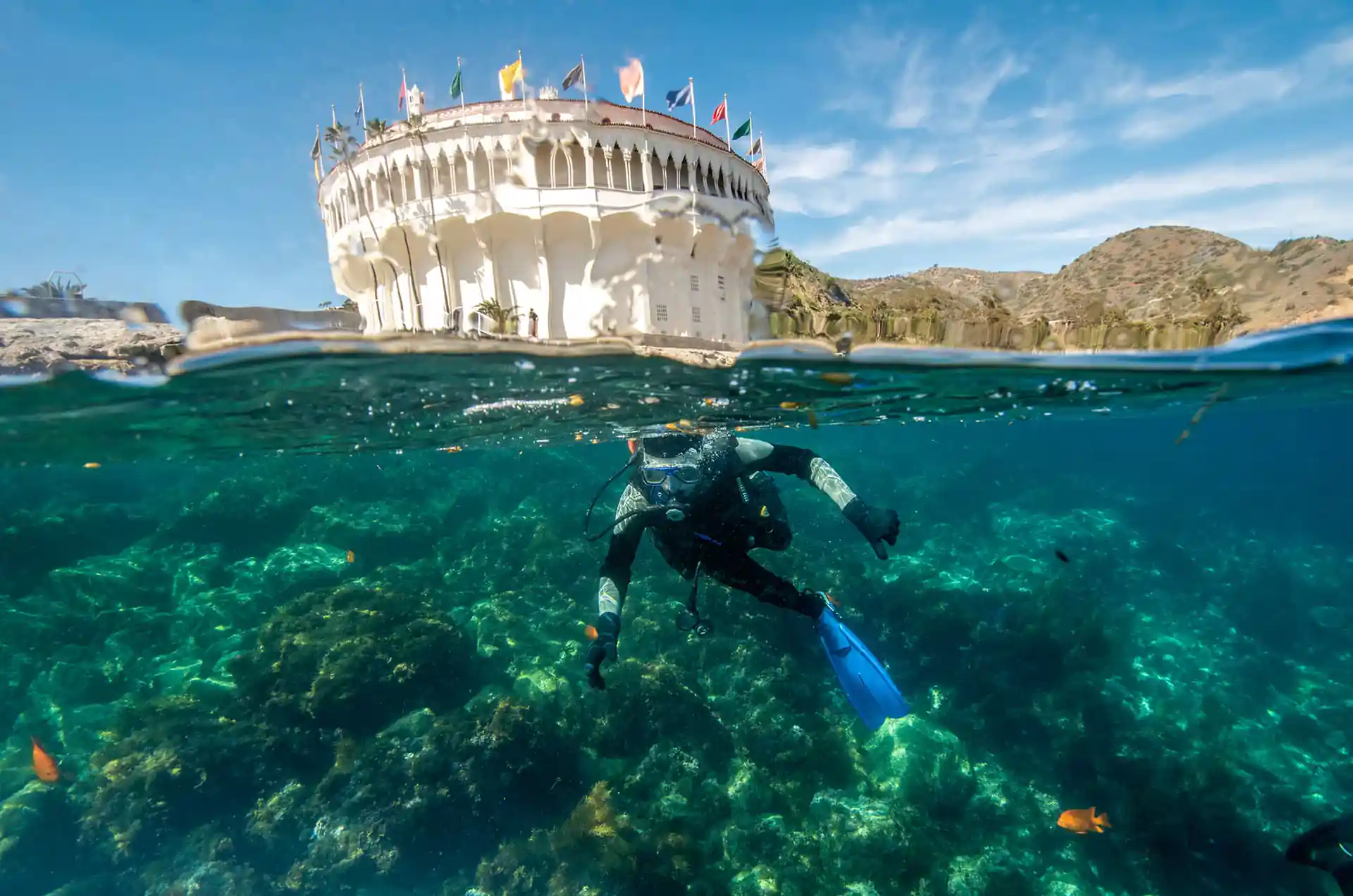 Dive site photo