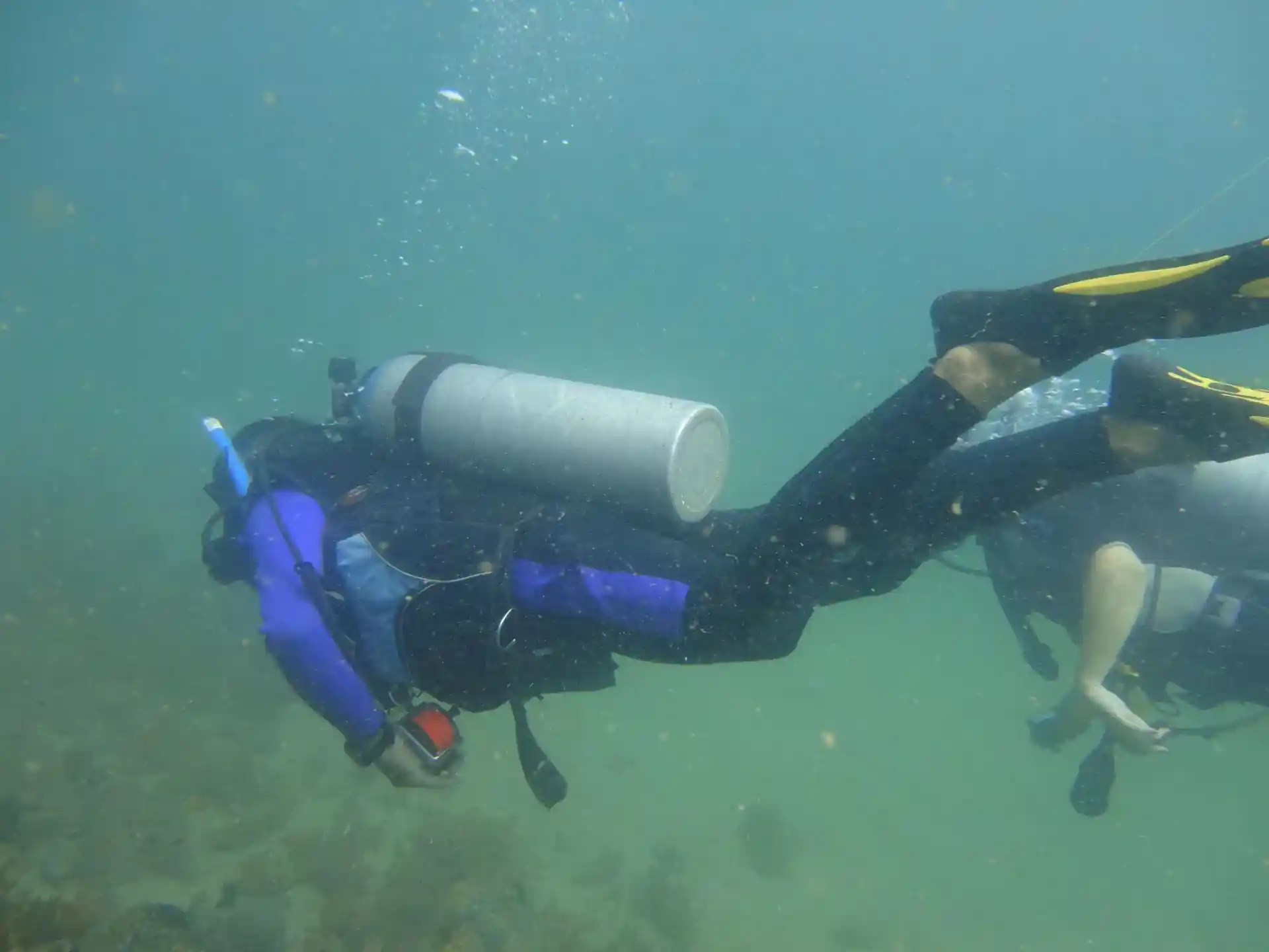 Dive site photo