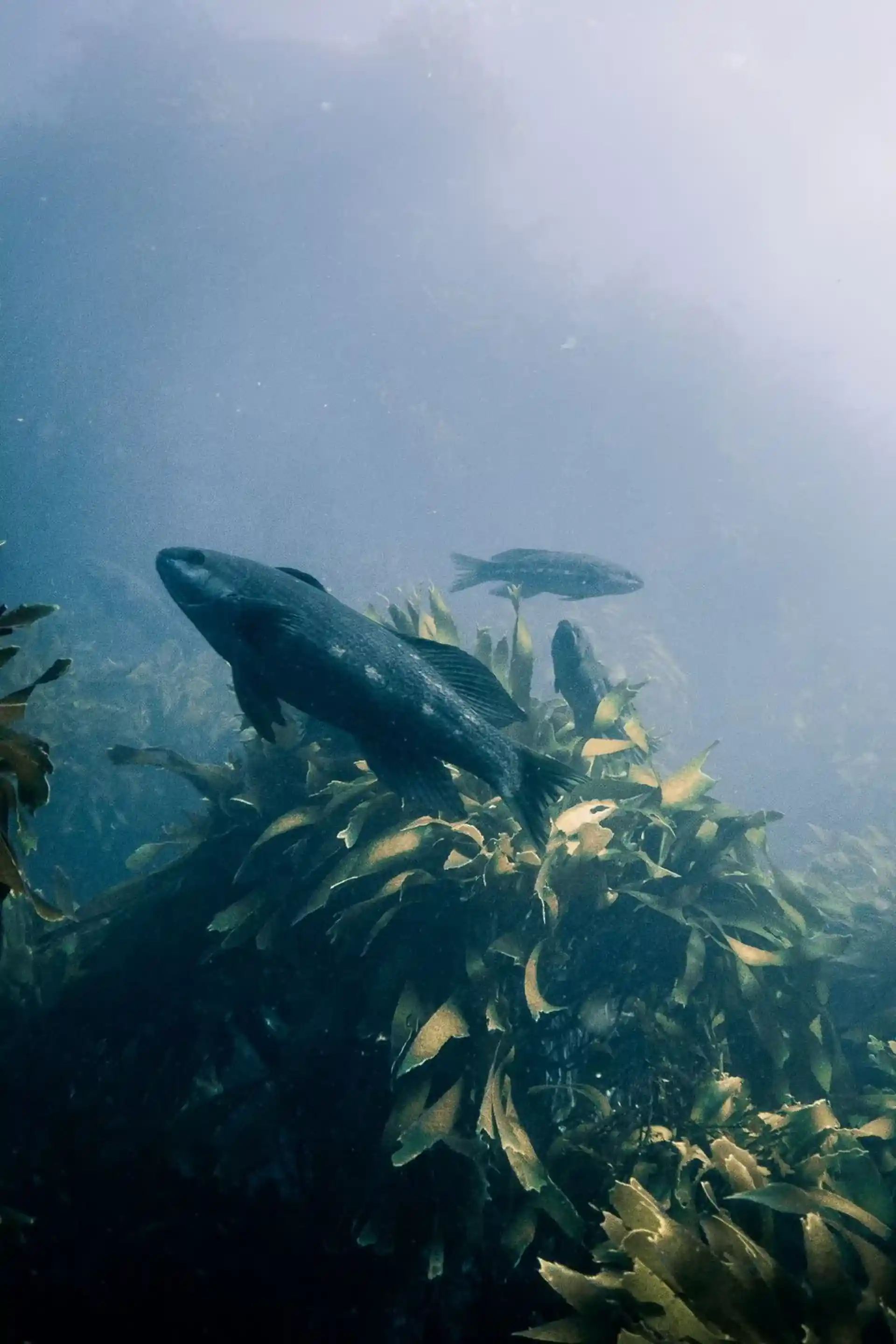 Dive shop photo