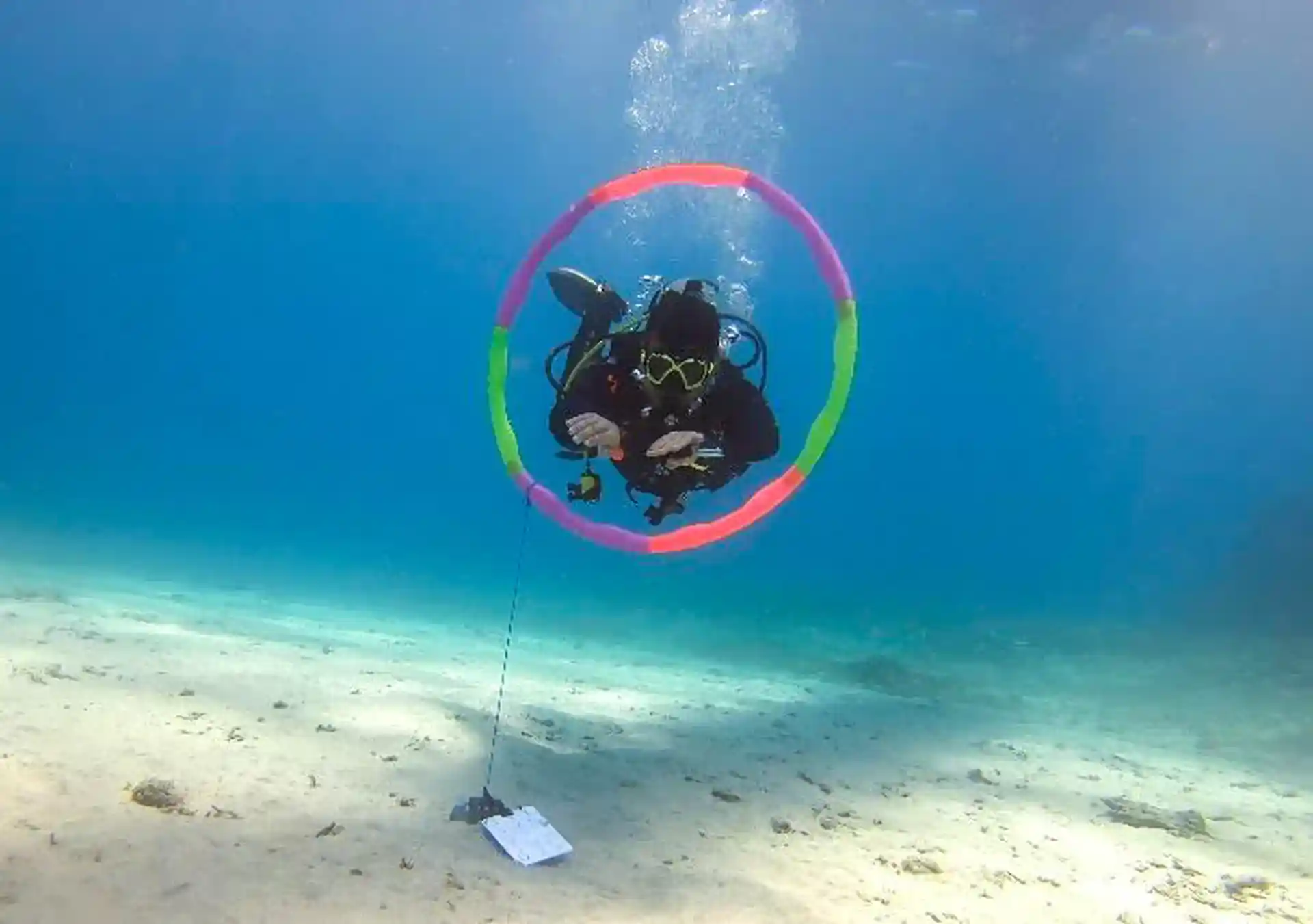 Photo de l'activité