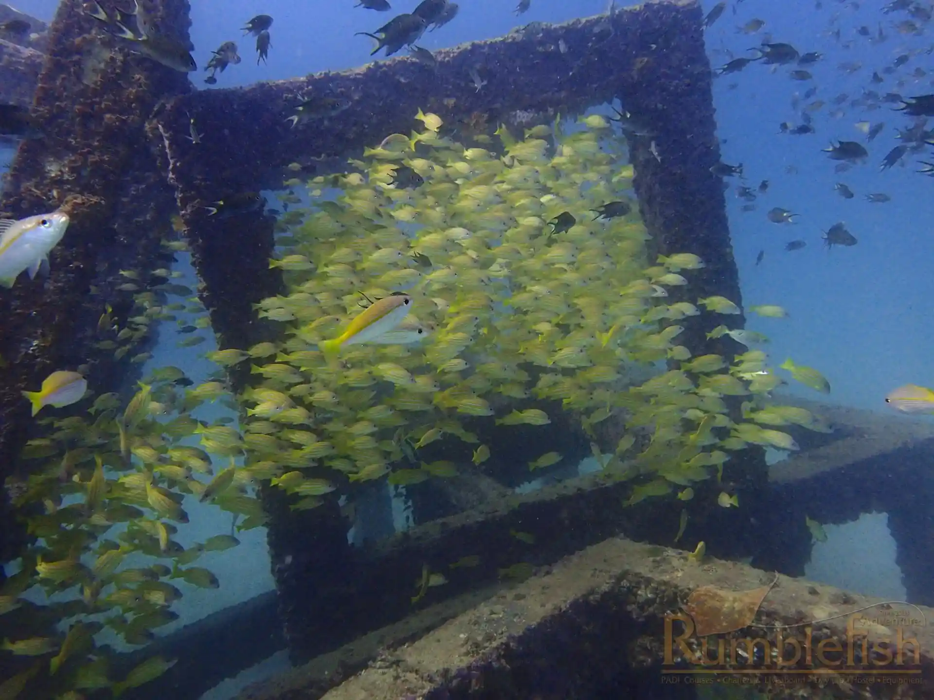 다이빙 포인트 사진