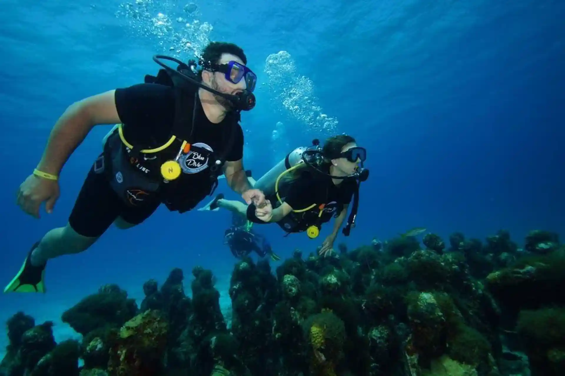 Foto de la tienda de buceo