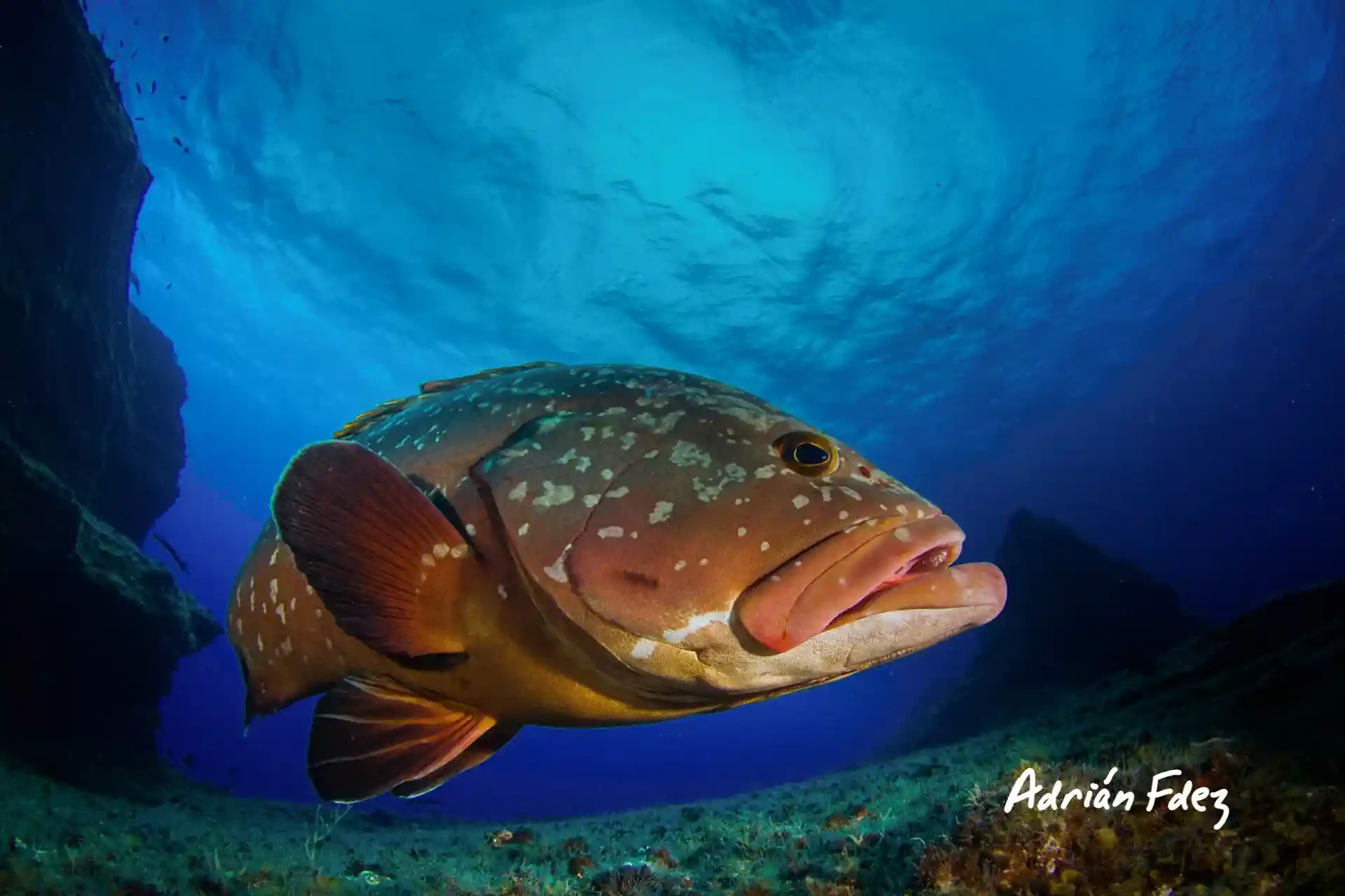 Foto del sitio de buceo
