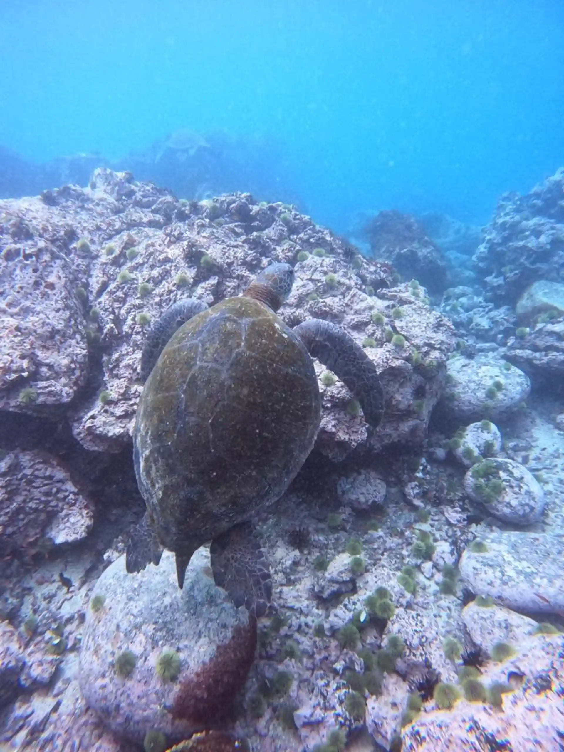 Dive site photo